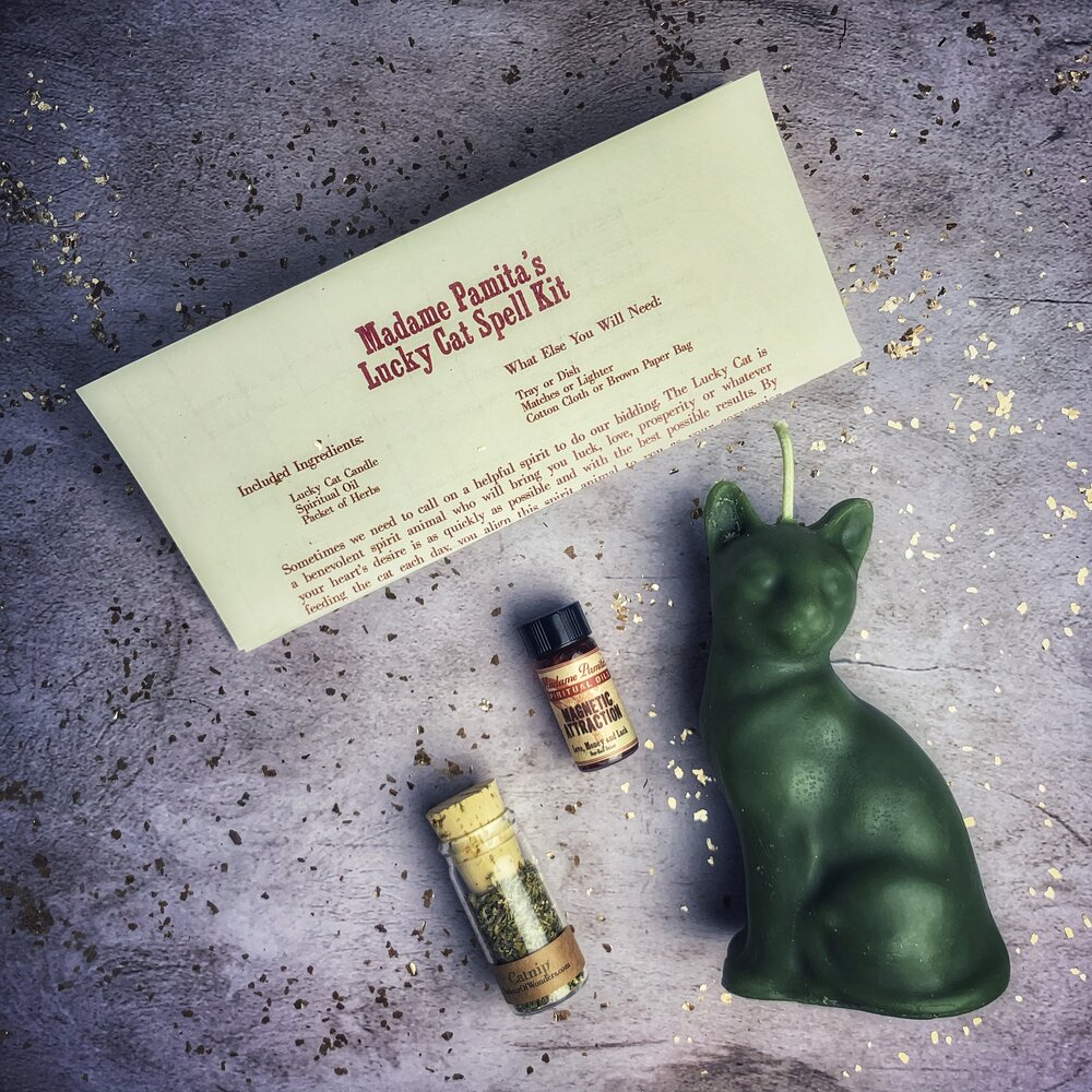 Lucky Cat Candle Spell Kit in Green for Aquarius money magic