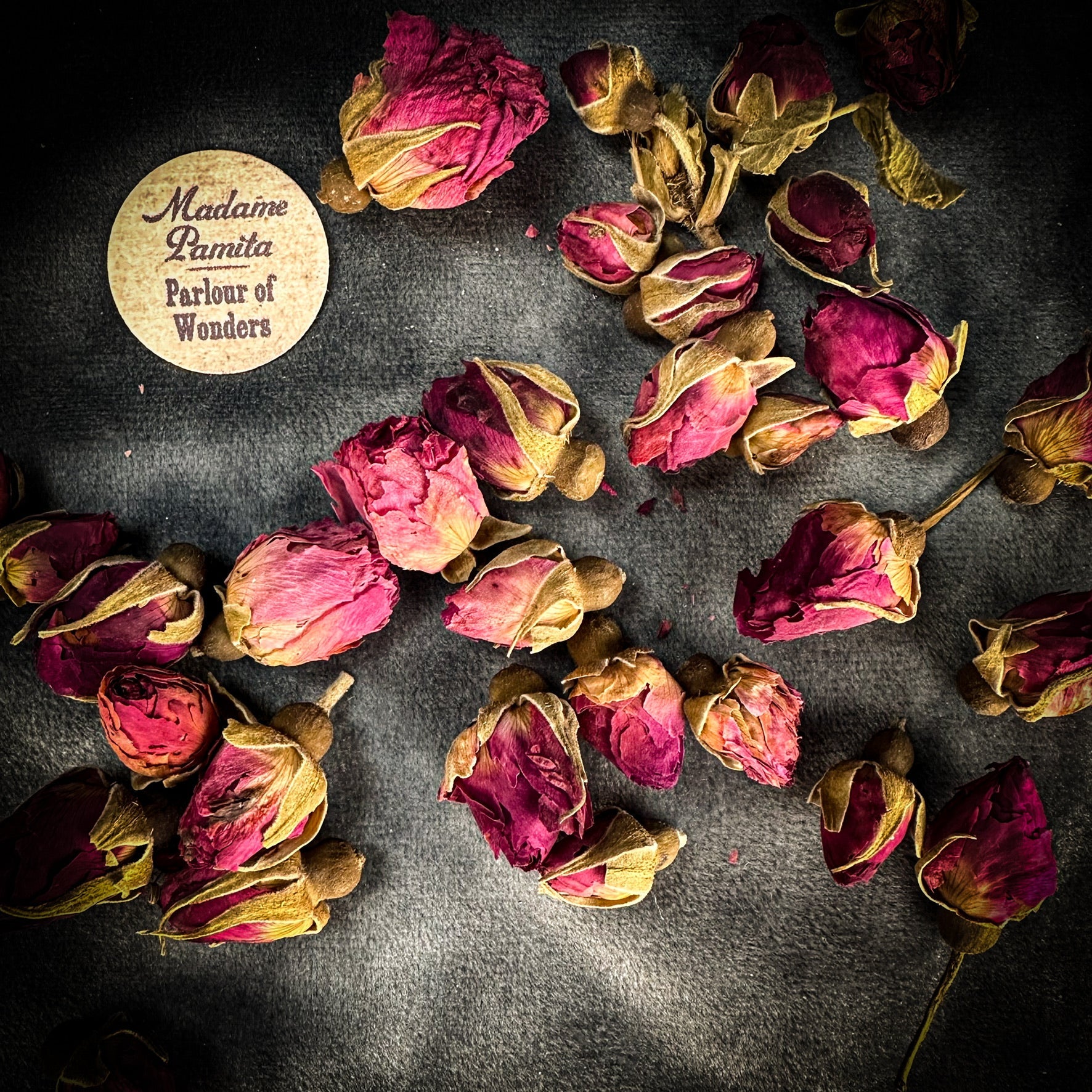 Red Rose Buds
