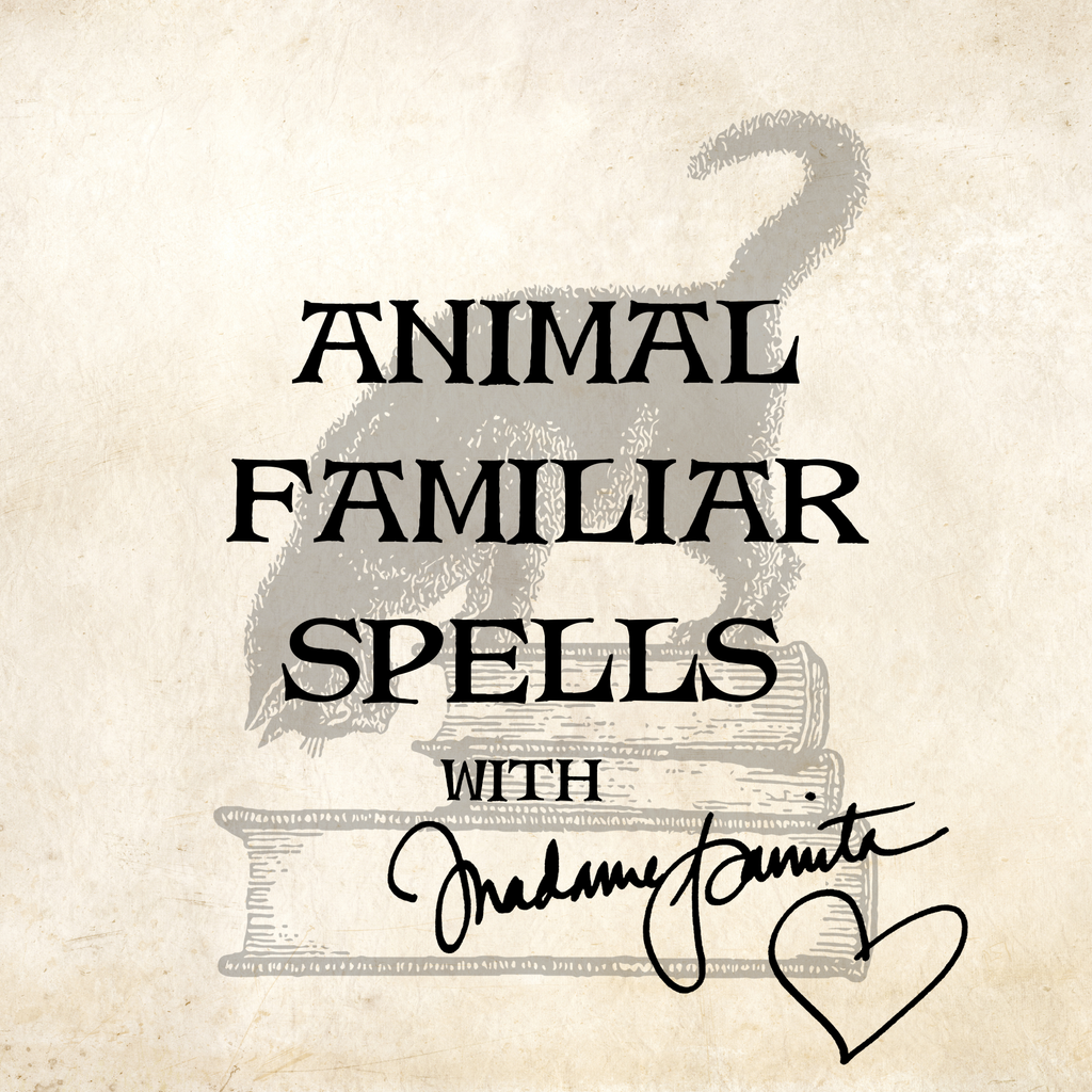 Animal Familiar Spells