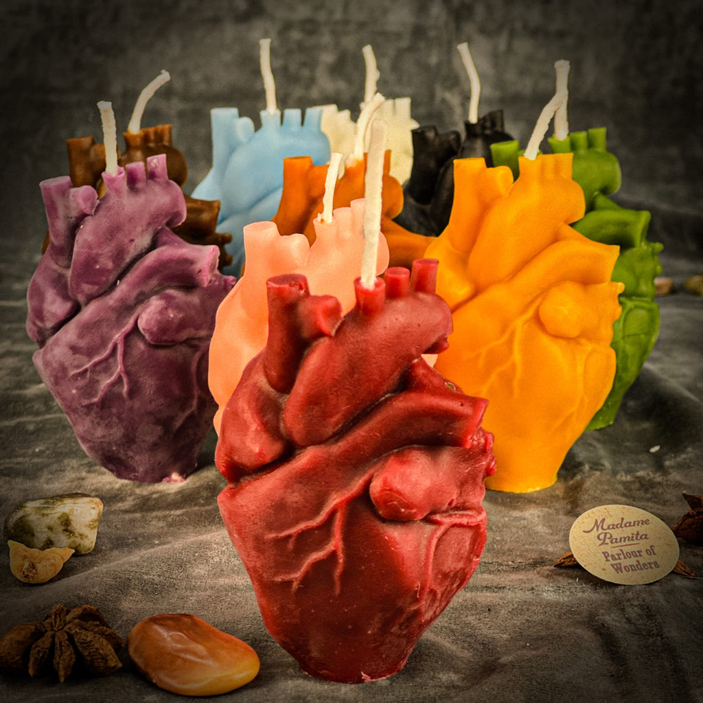 Beeswax Anatomical Heart Spell Candle