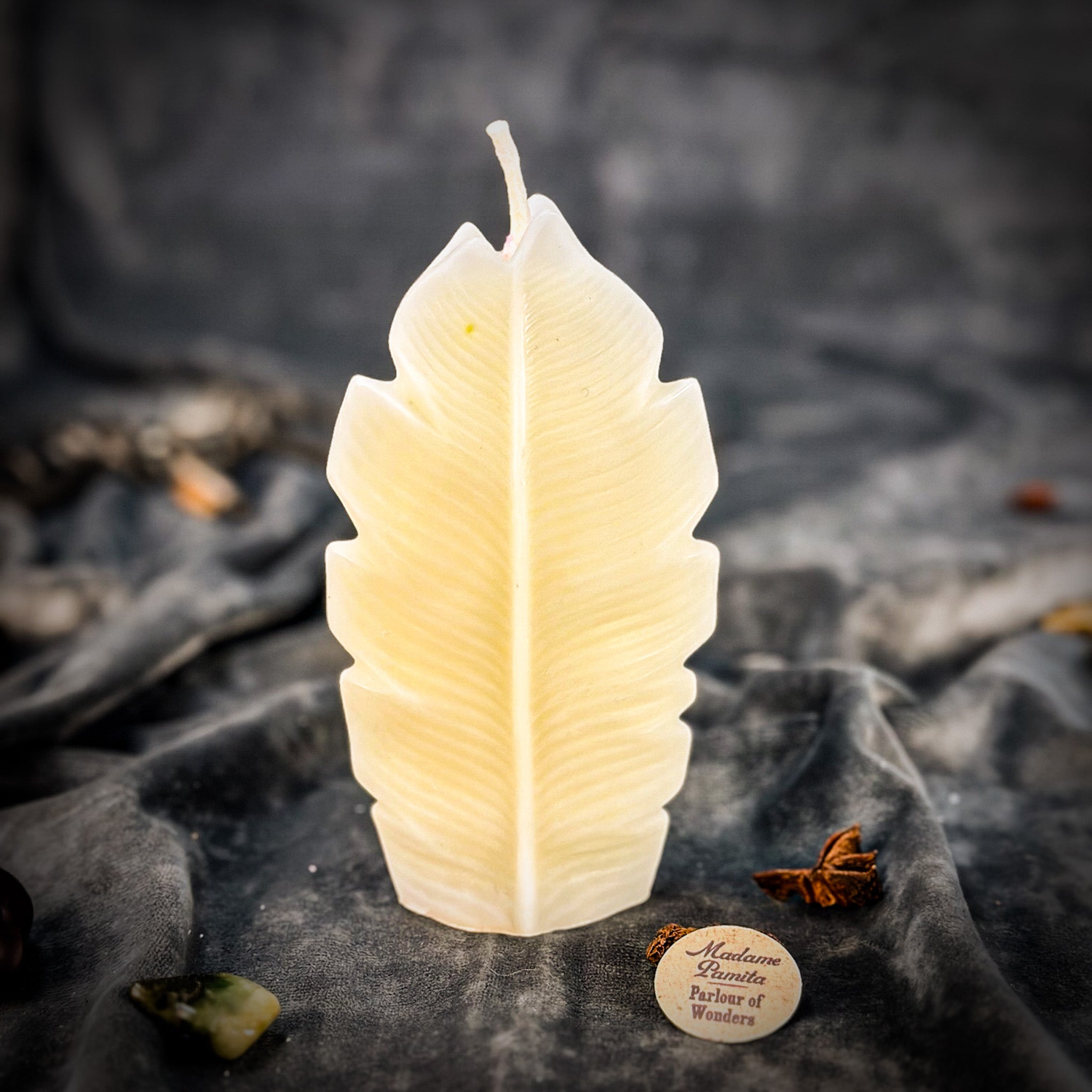 Beeswax Plant Spirit Spell Candle