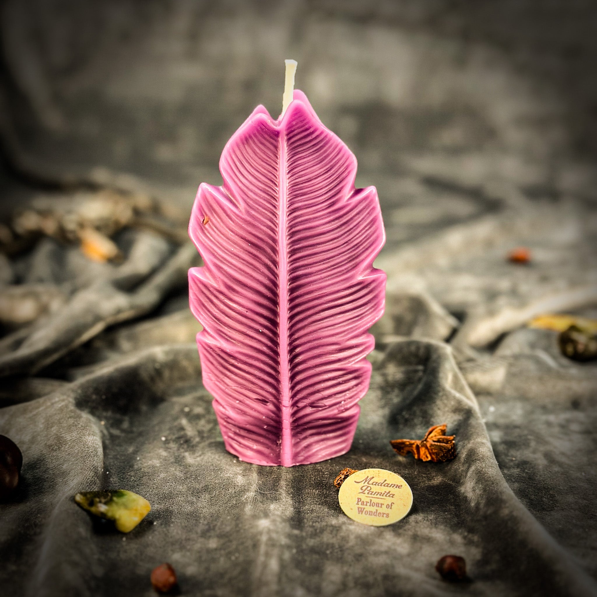 Beeswax Plant Spirit Spell Candle