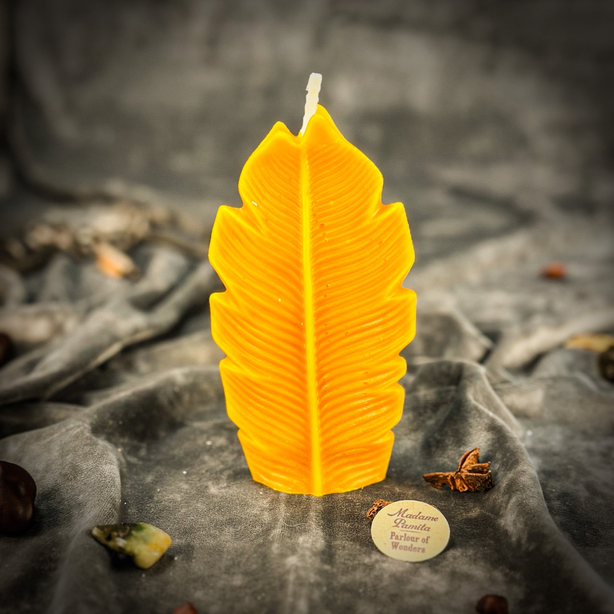 Beeswax Plant Spirit Spell Candle