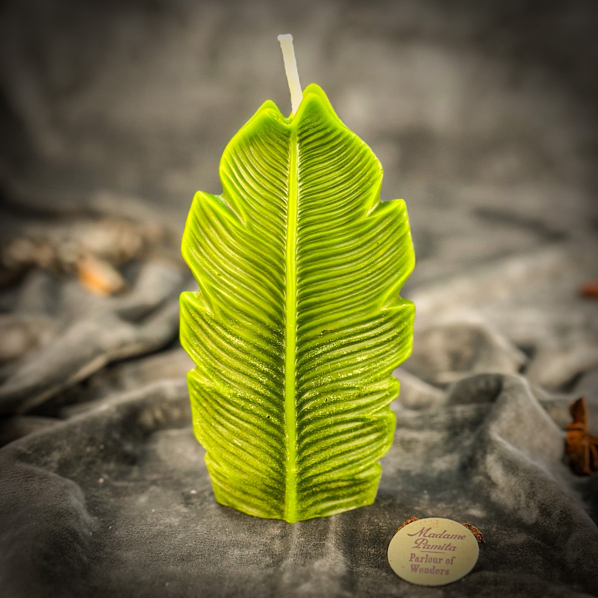 Beeswax Plant Spirit Spell Candle