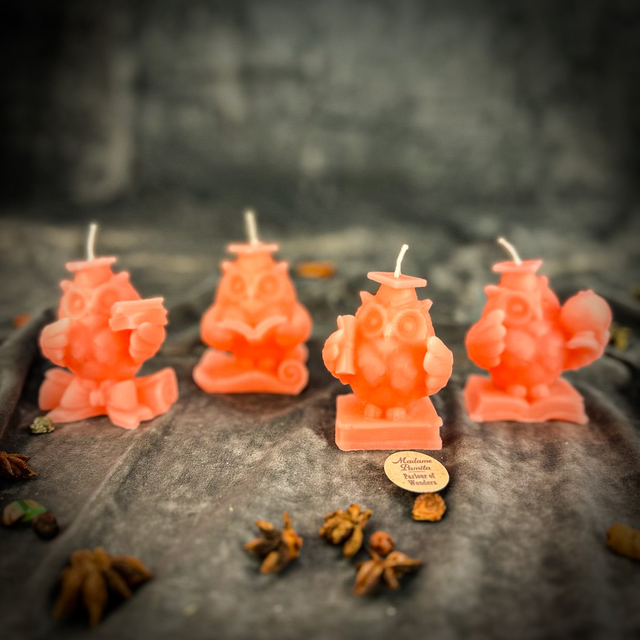Beeswax School of Owls Spell Candle Set