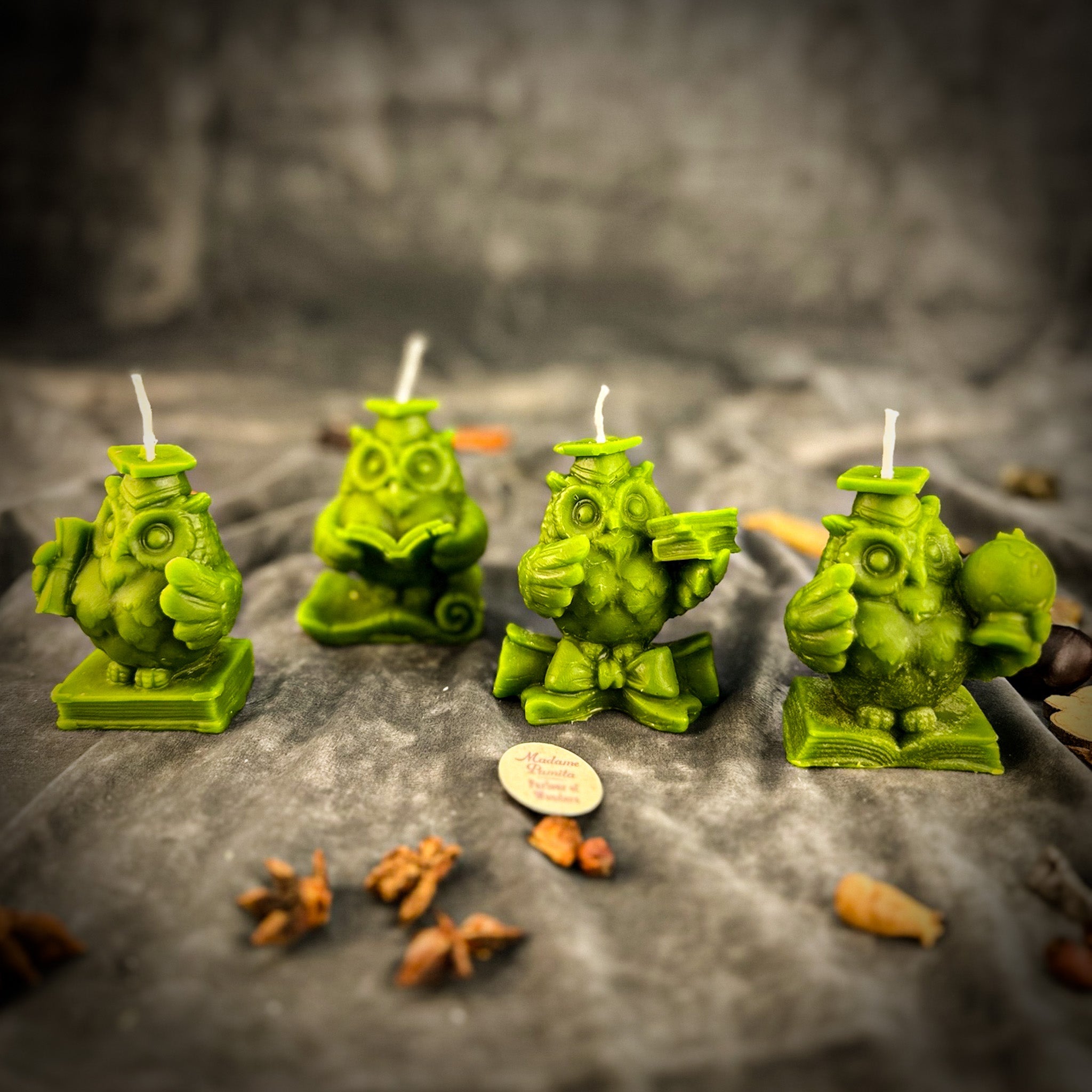 Beeswax School of Owls Spell Candle Set