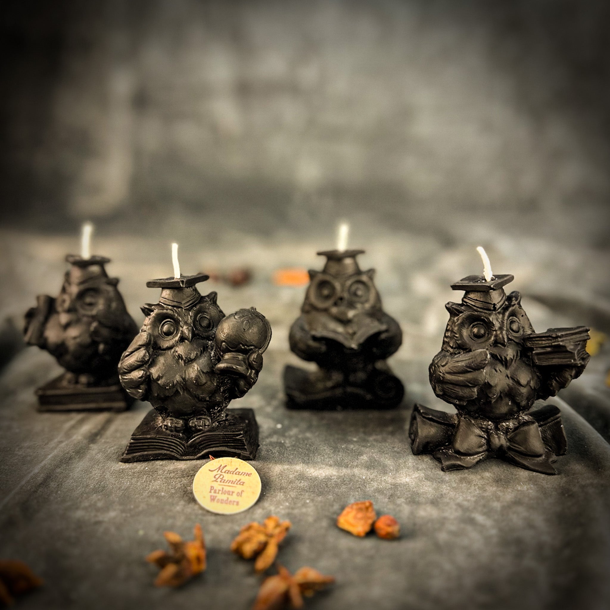 Beeswax School of Owls Spell Candle Set