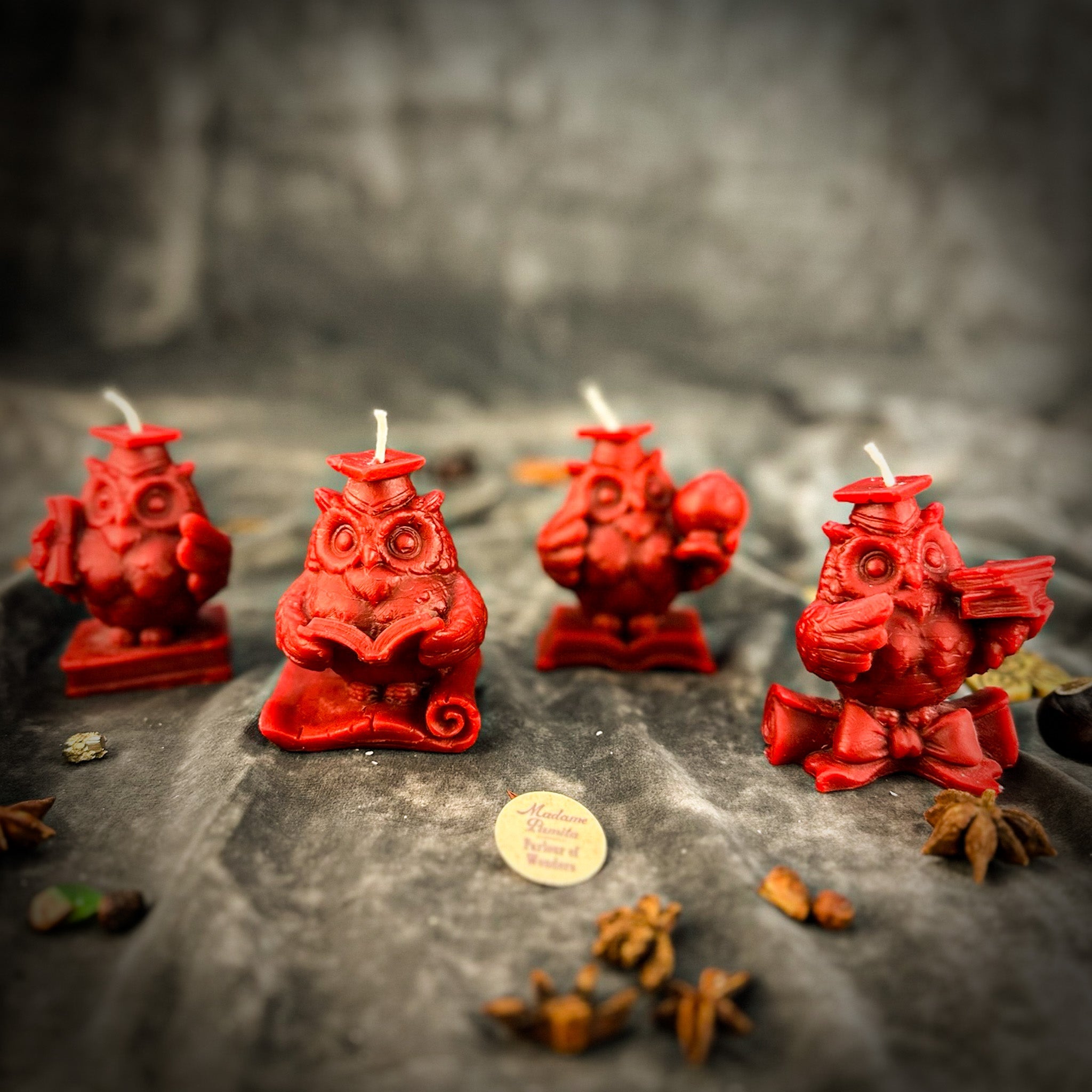 Beeswax School of Owls Spell Candle Set