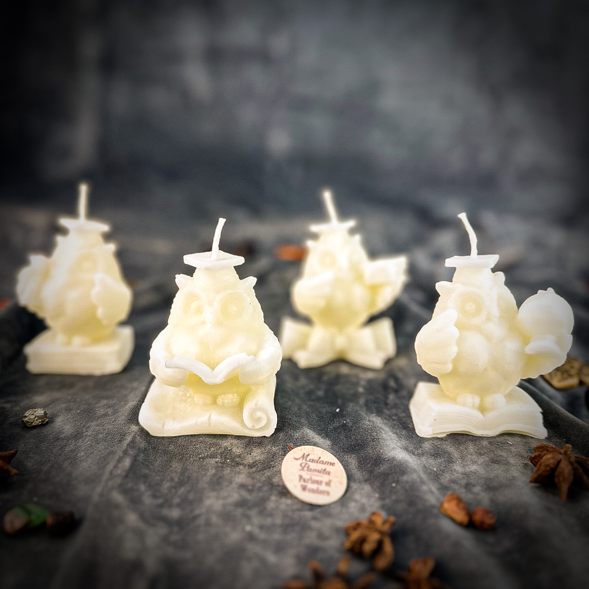Beeswax School of Owls Spell Candle Set