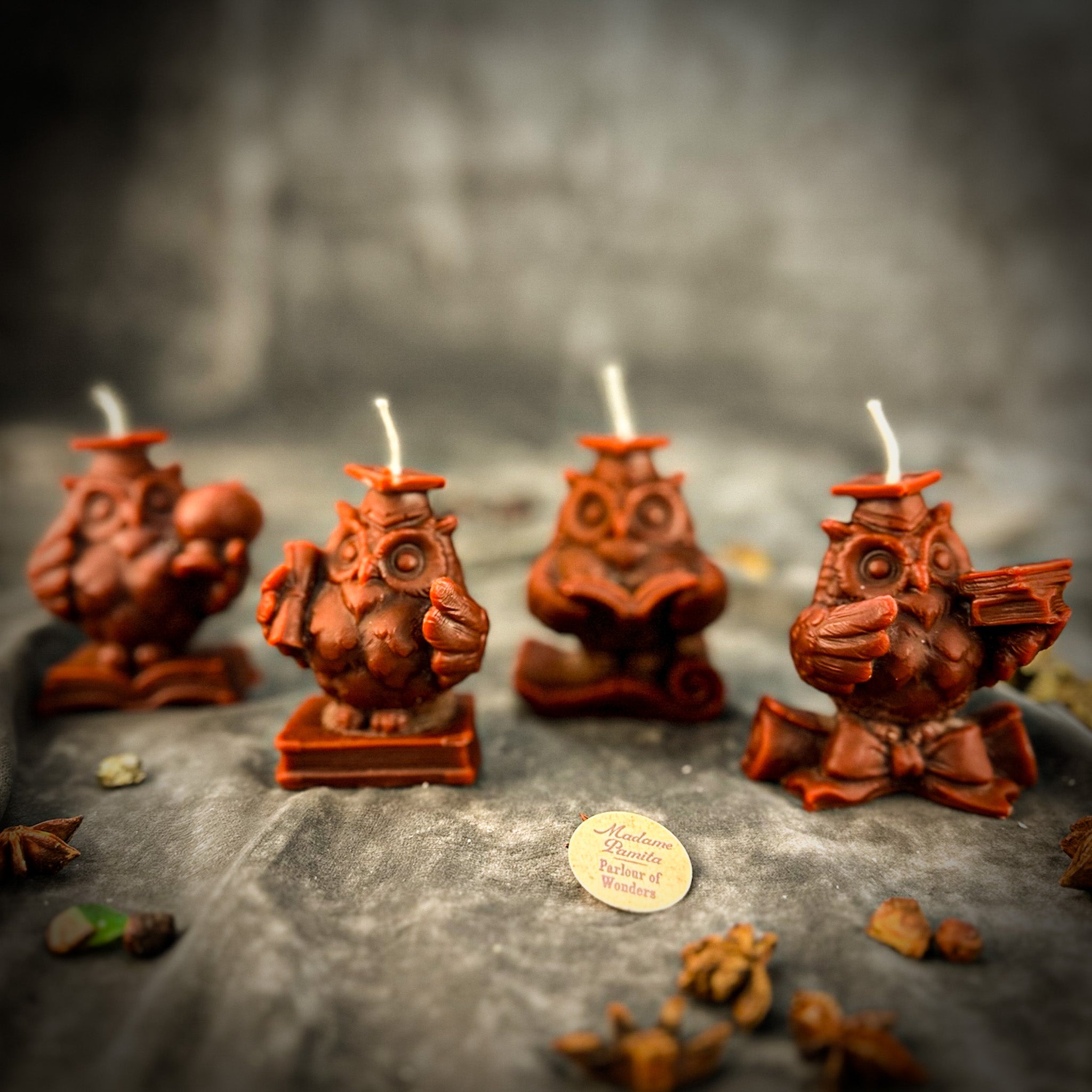 Beeswax School of Owls Spell Candle Set