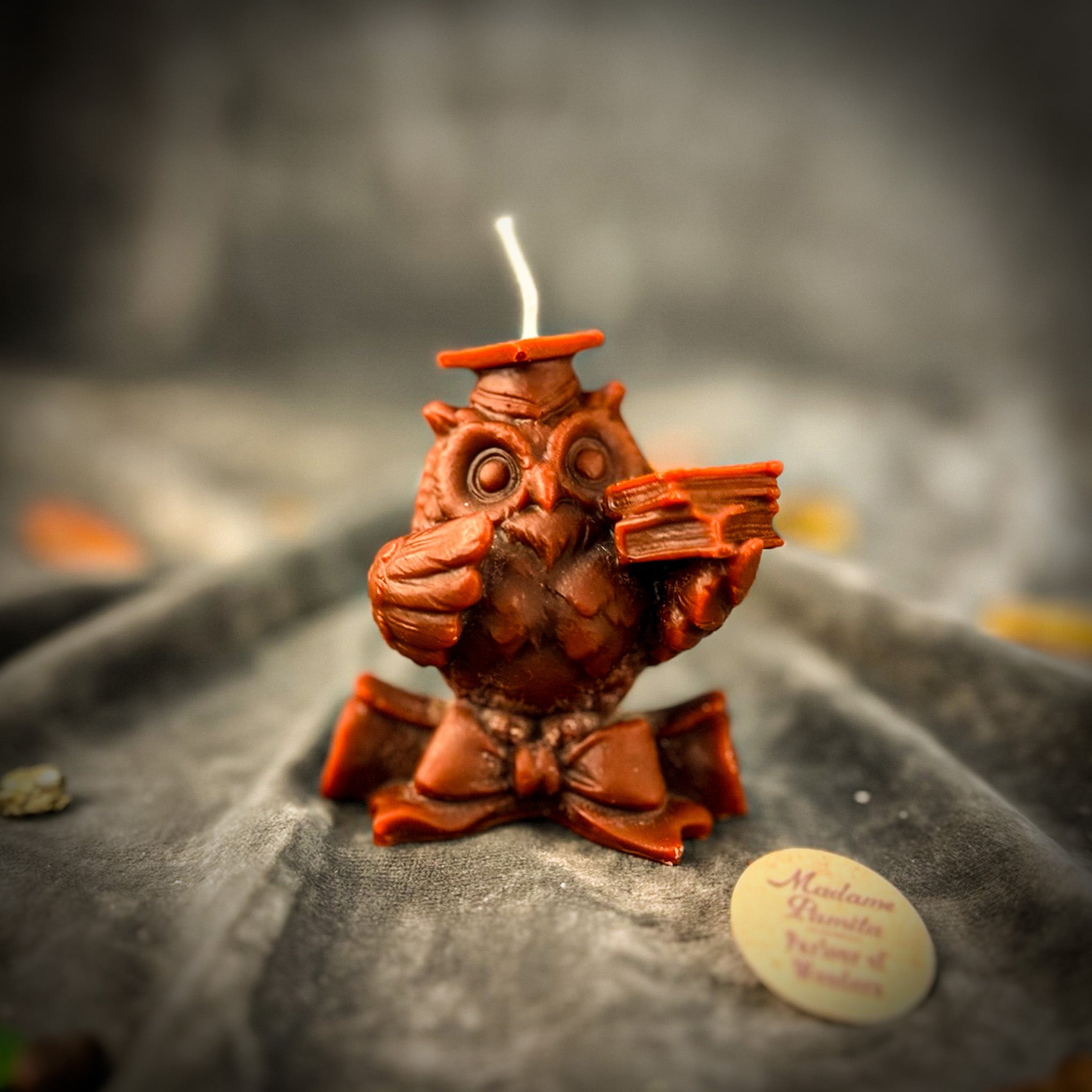 Beeswax School of Owls Spell Candle Set