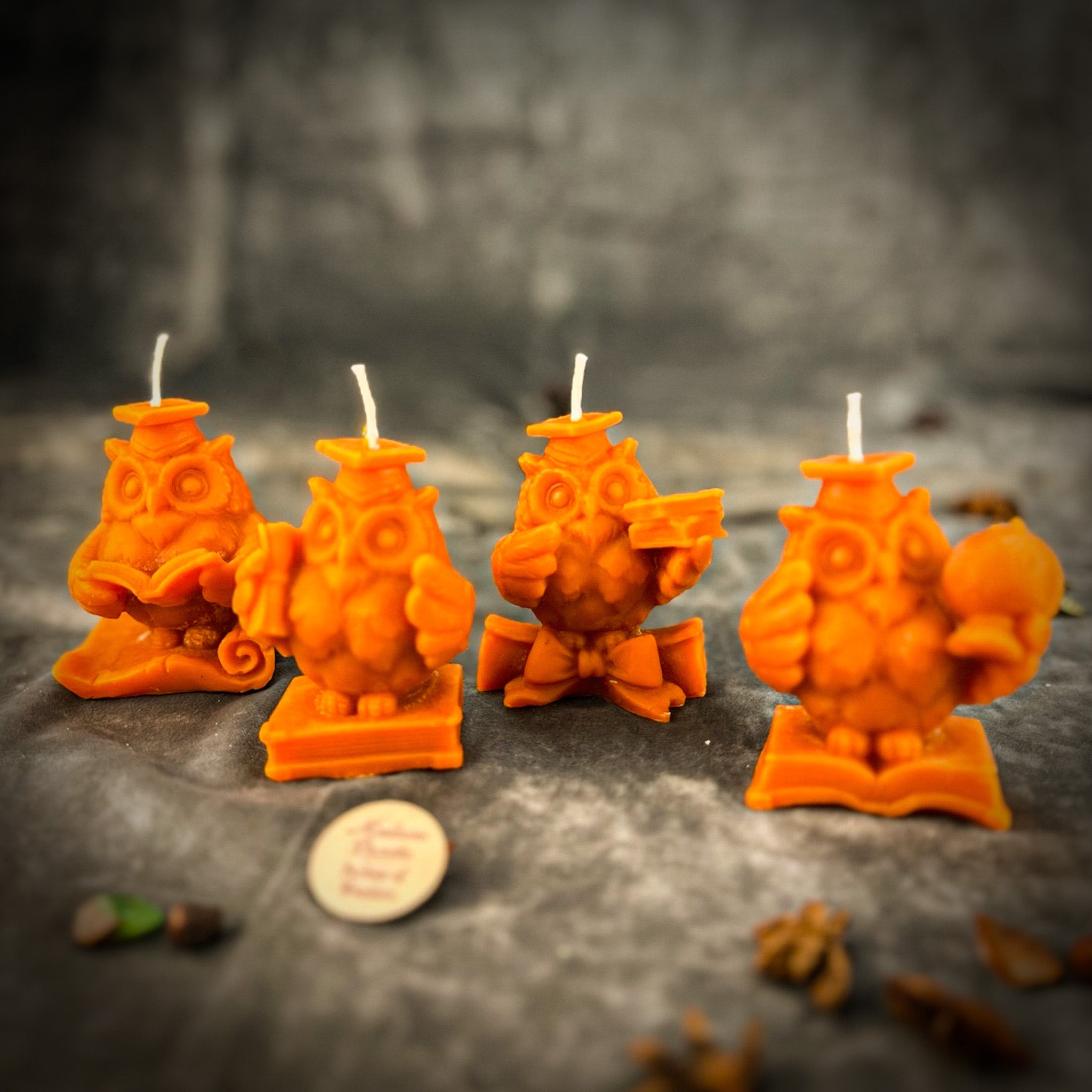 Beeswax School of Owls Spell Candle Set