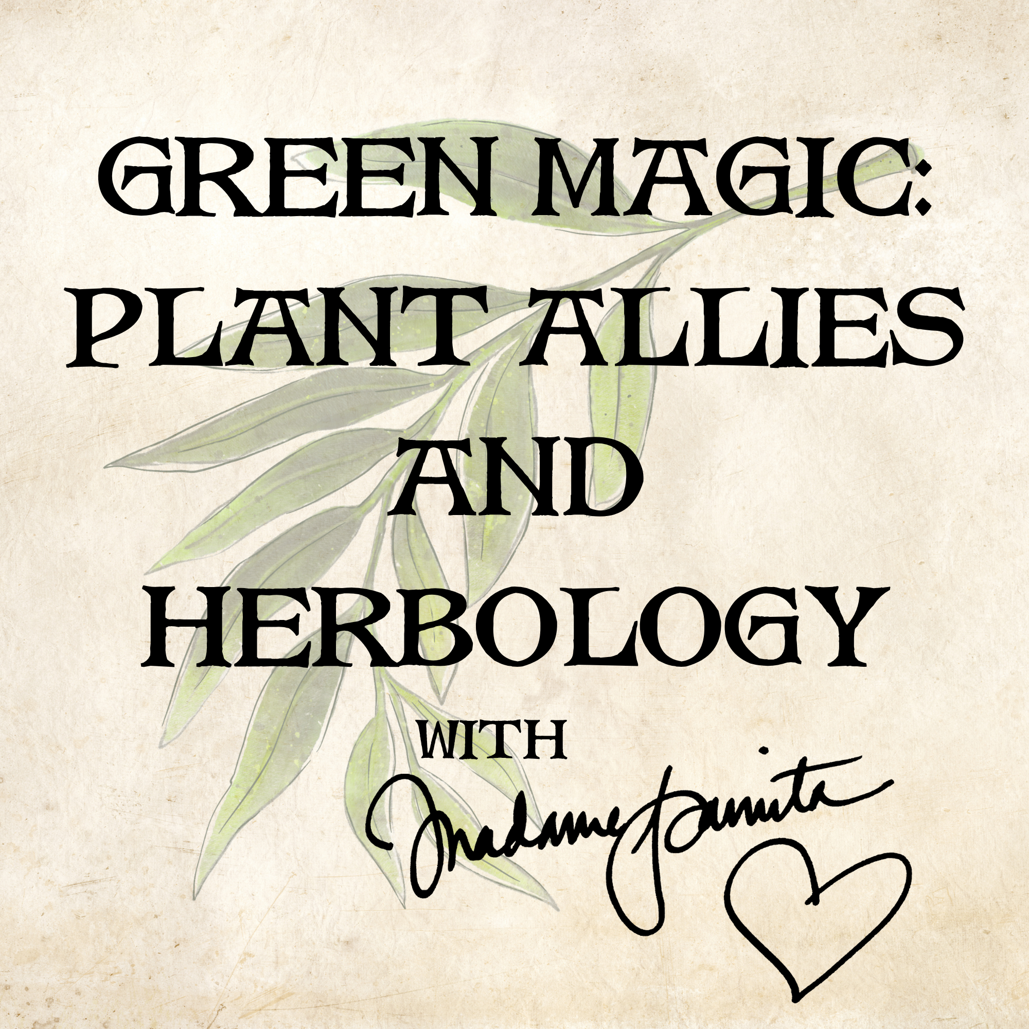 Green Magic: Plant Allies and Herbology