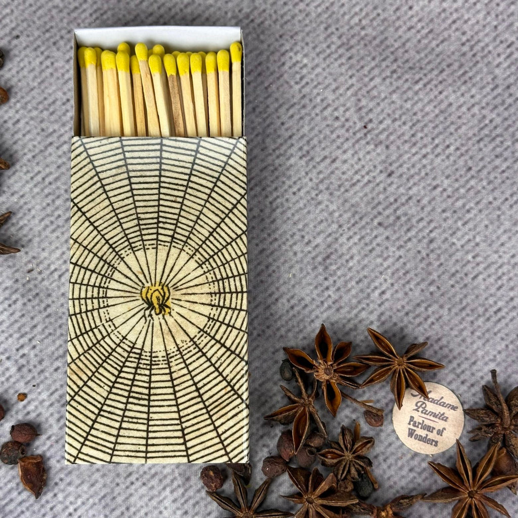 Lucky Golden Spider Matches