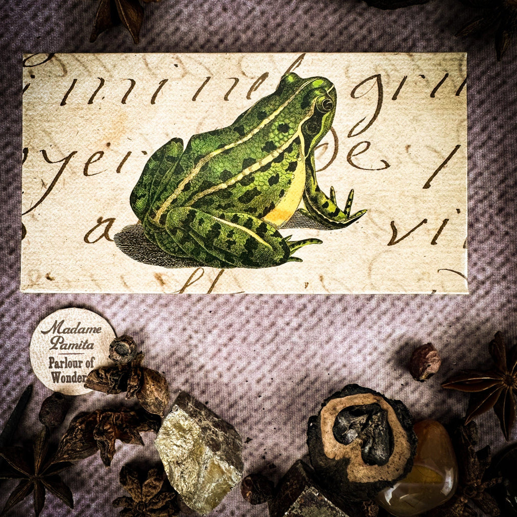 Lucky Frog Prince Matches