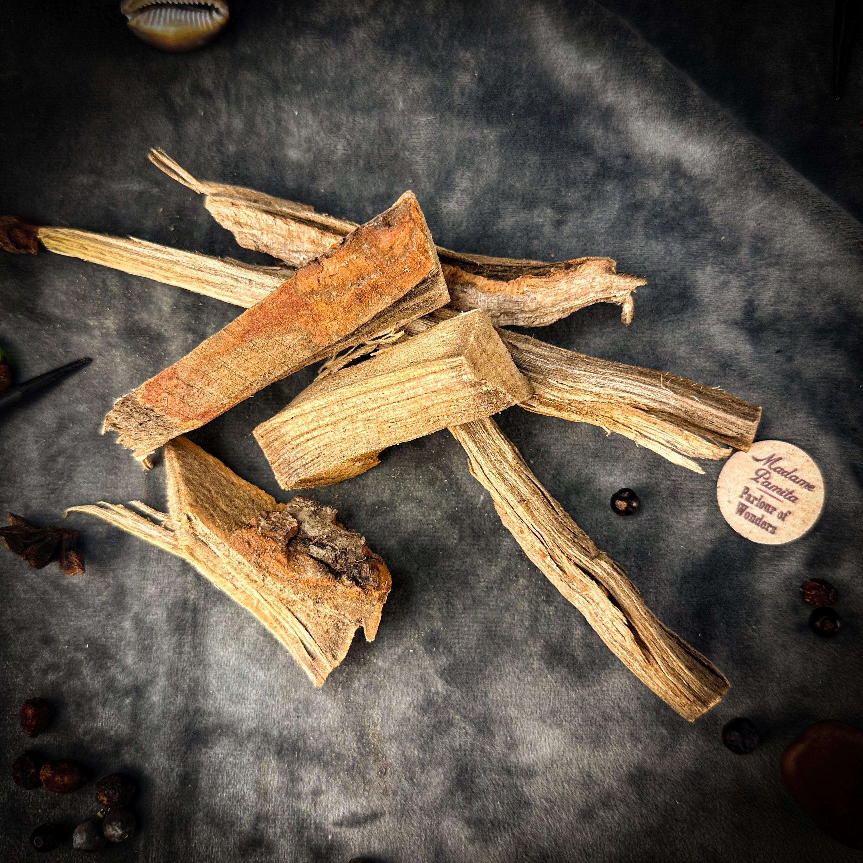 Sassafras - Wildharvested Stick