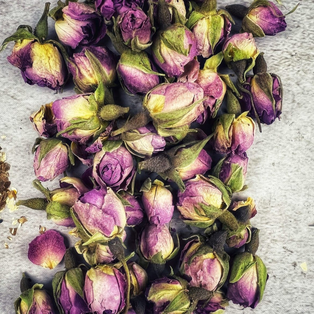 Pink Rose Buds