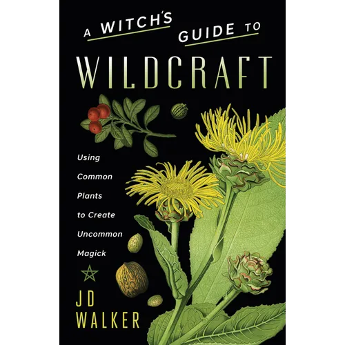 A Witch's Guide to Wildcraft: Using Common Plants to Create Uncommon Magick