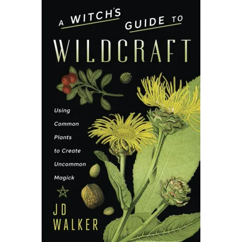 A Witch's Guide to Wildcraft: Using Common Plants to Create Uncommon Magick