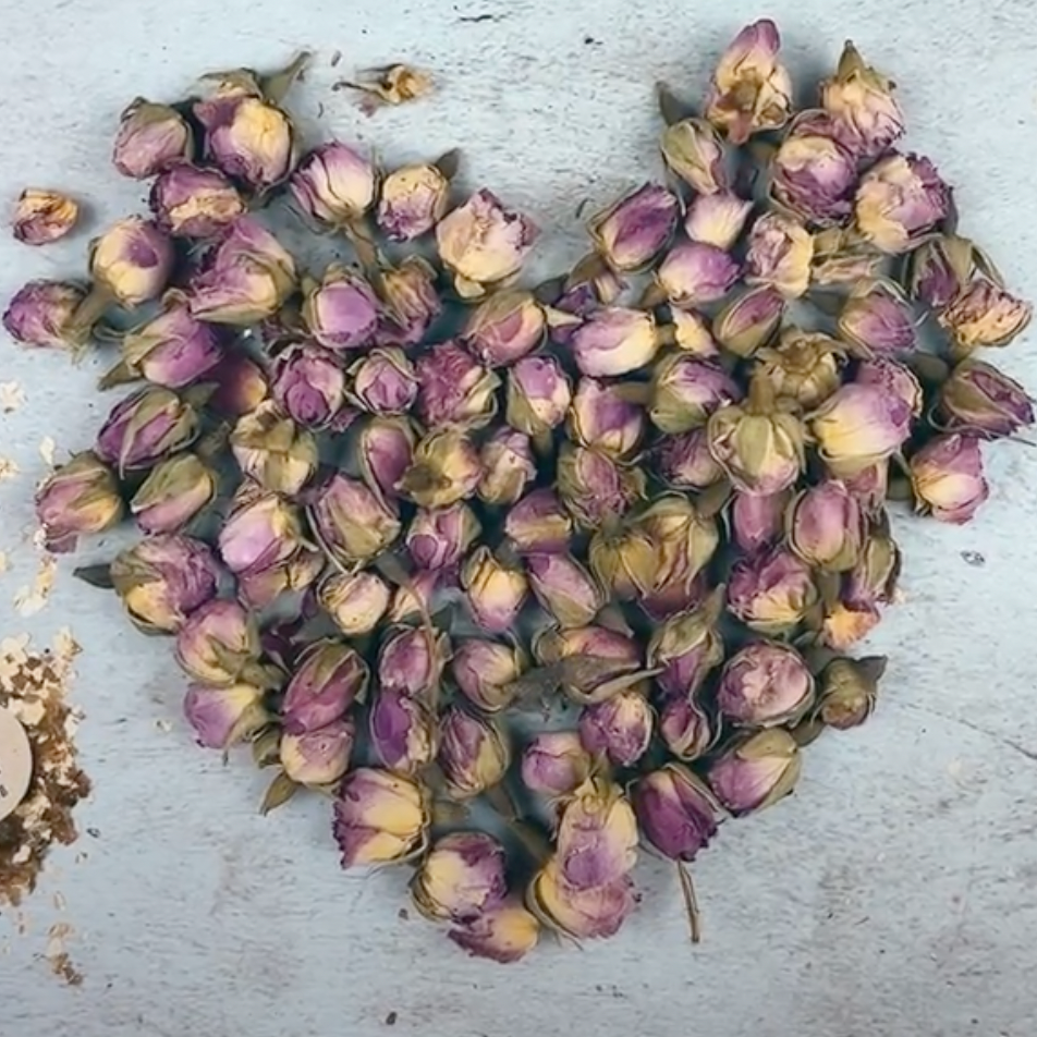 Pink Rose Buds