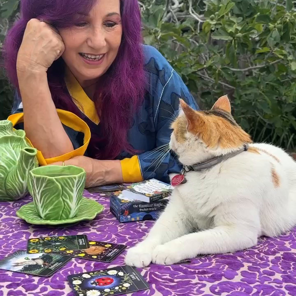 The Familiar Magic Pocket Oracle: Deluxe Kit