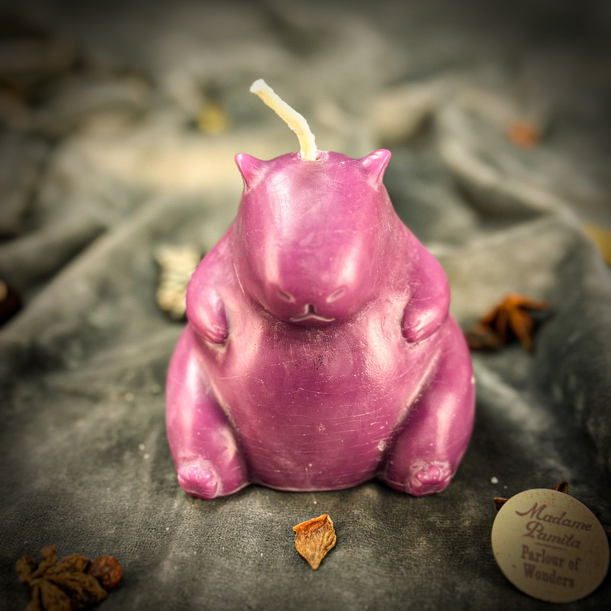 Beeswax Cuddly Capybara Cooperation Spell Candle
