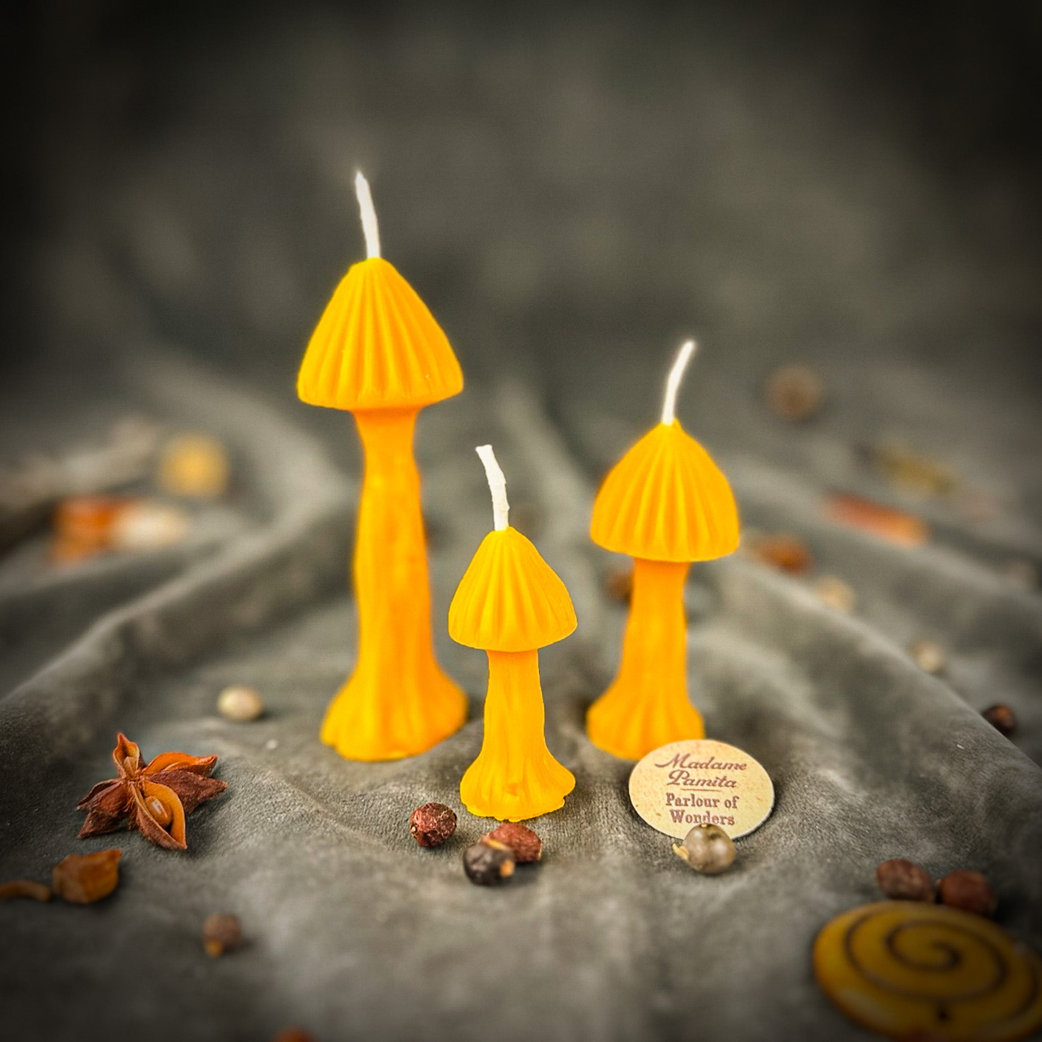 Enchanted Mushroom Candle Spell Kit - Forest Wisdom & Transformation Magic