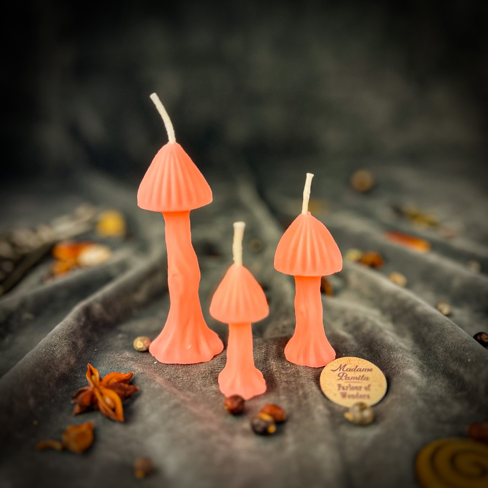 Enchanted Mushroom Candle Spell Kit - Forest Wisdom & Transformation Magic