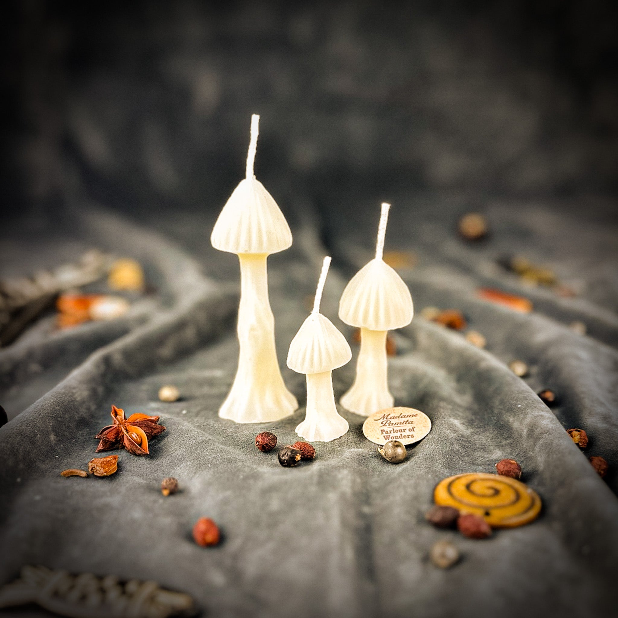 Enchanted Mushroom Candle Spell Kit - Forest Wisdom & Transformation Magic