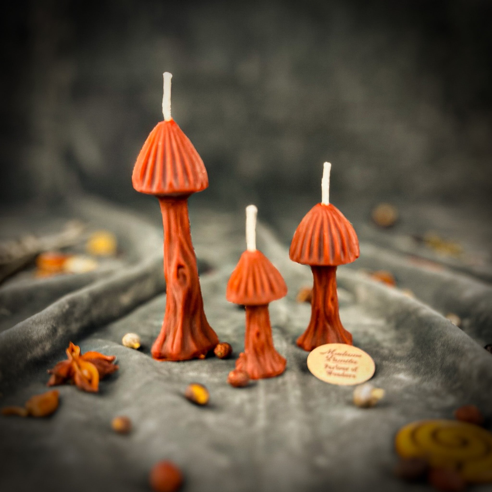 Enchanted Mushroom Candle Spell Kit - Forest Wisdom & Transformation Magic