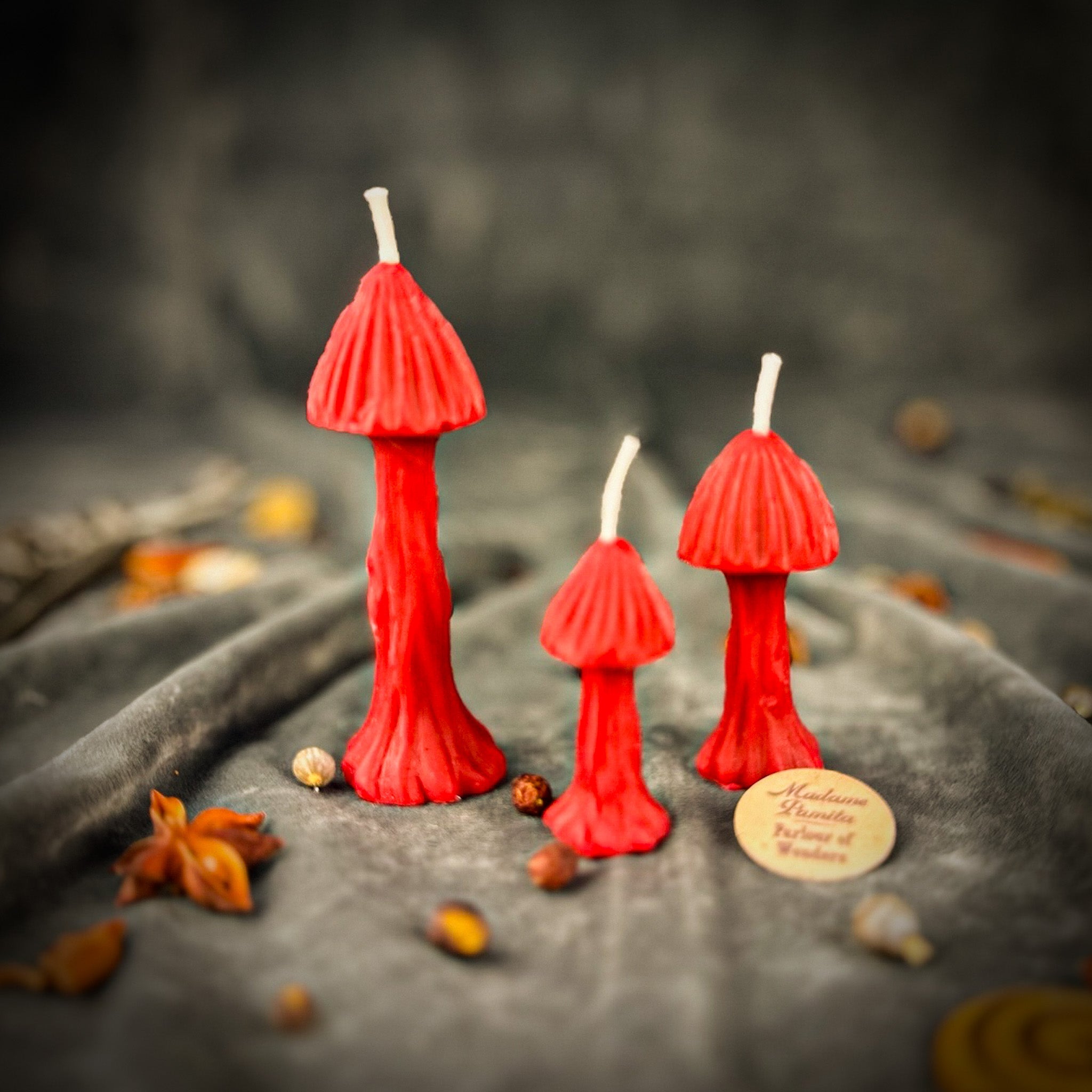 Enchanted Mushroom Candle Spell Kit - Forest Wisdom & Transformation Magic
