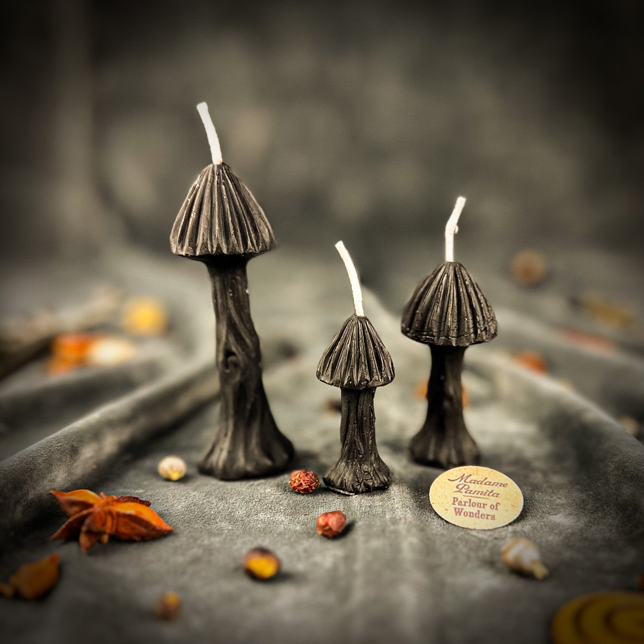Enchanted Mushroom Candle Spell Kit - Forest Wisdom & Transformation Magic