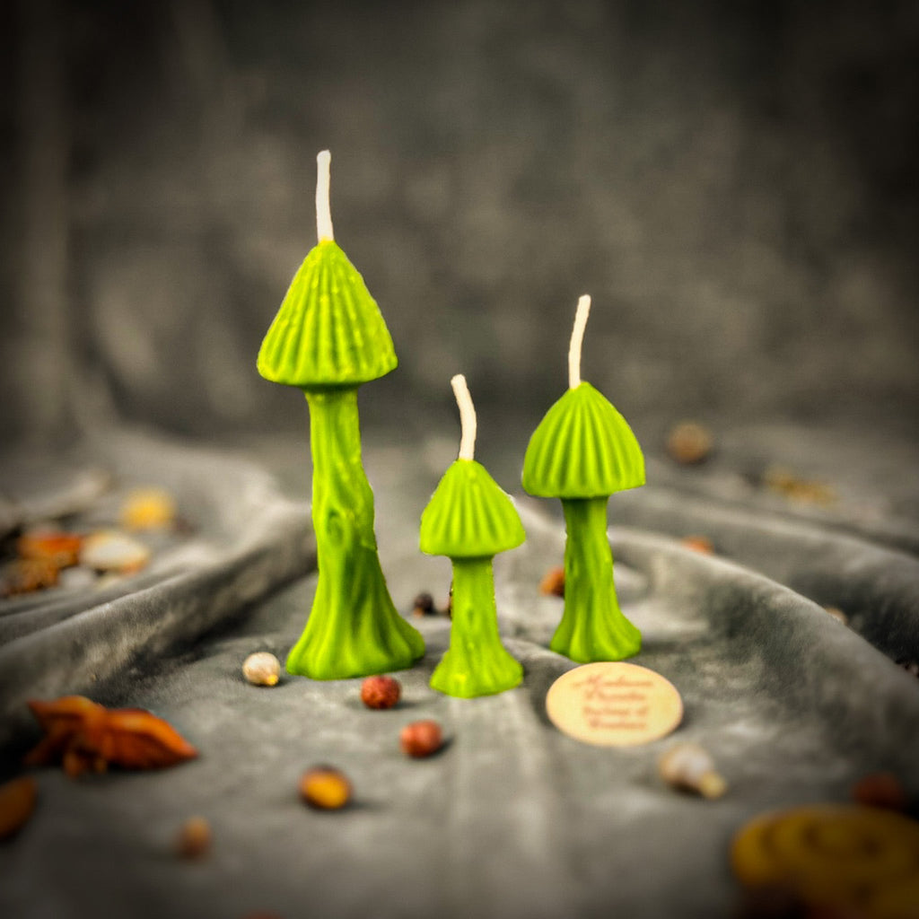 Beeswax Enchanted Mushroom Spell Candle Trio