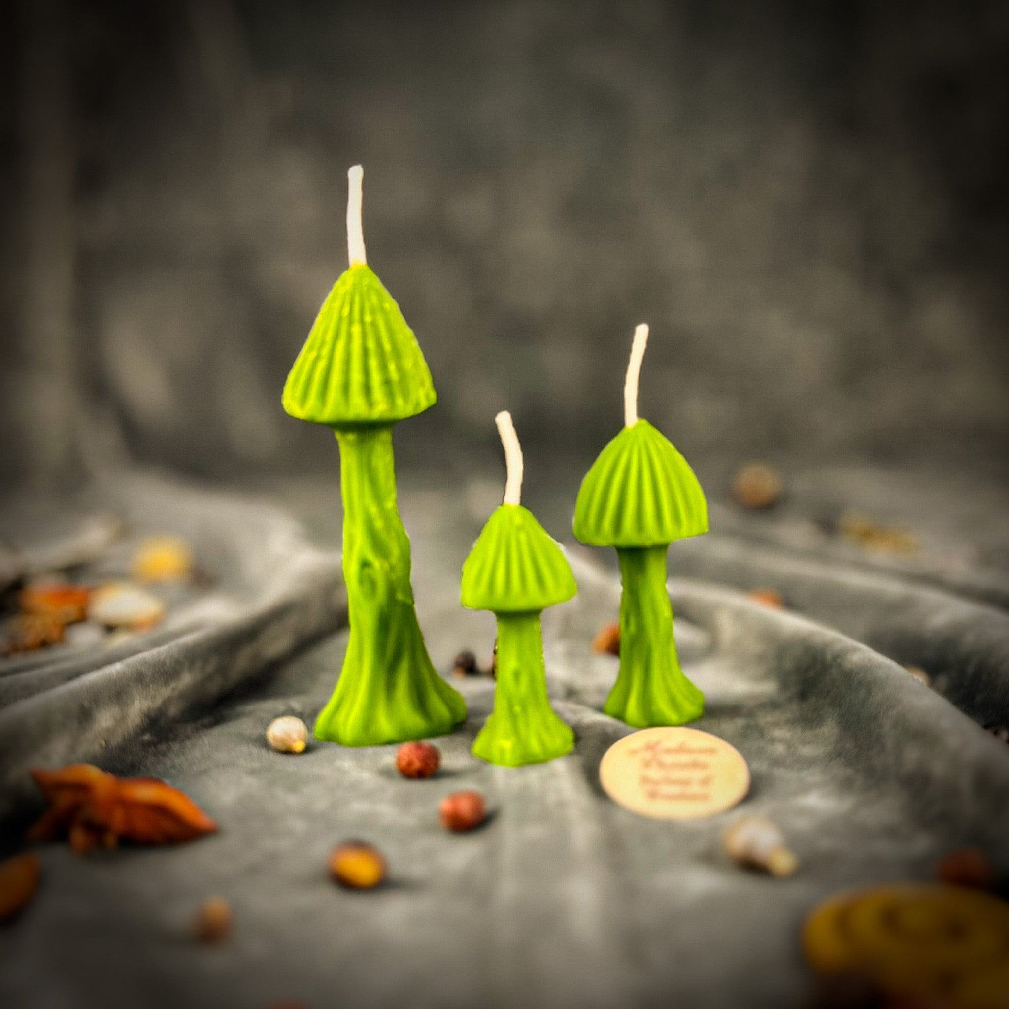 Beeswax Enchanted Mushroom Spell Candle Trio