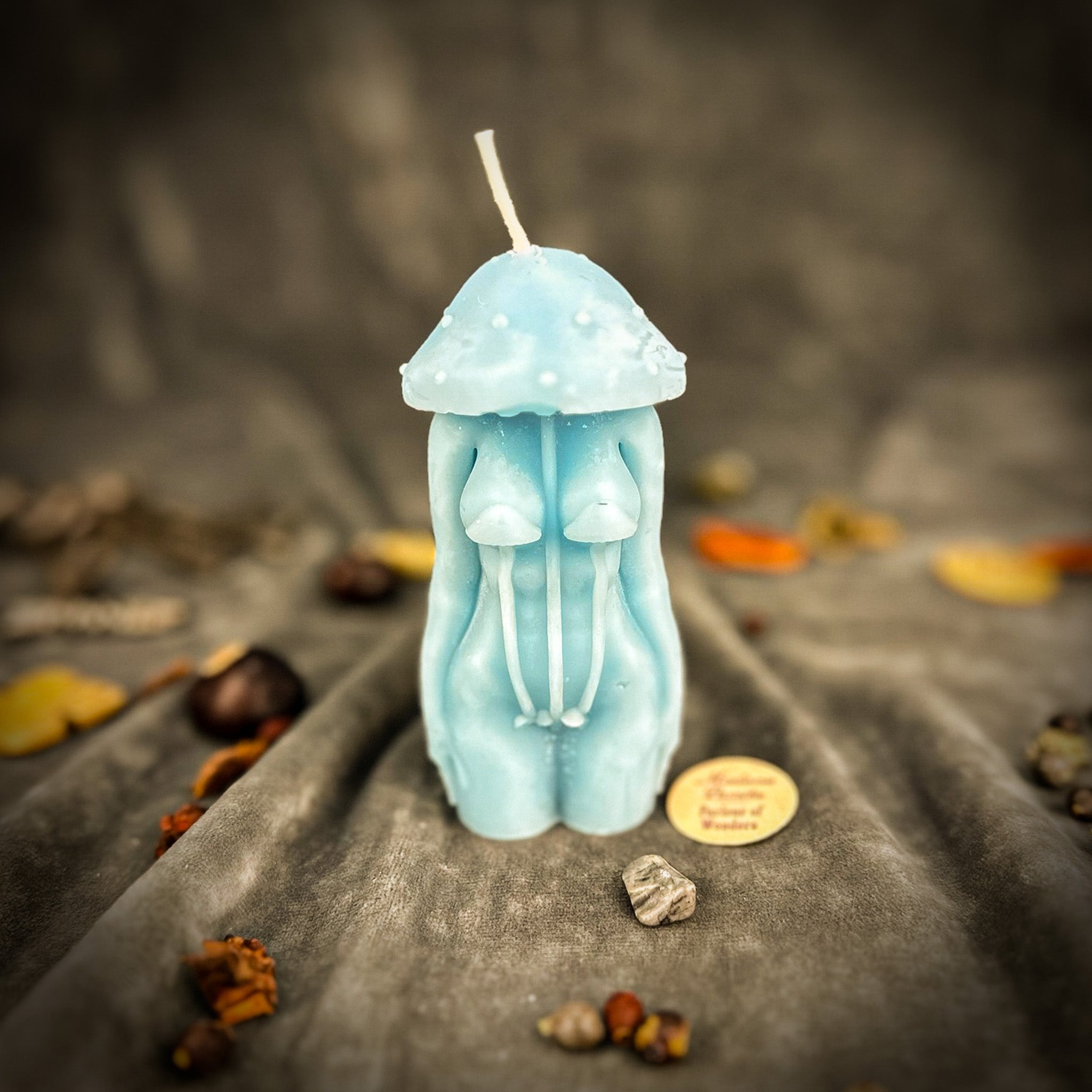 Beeswax Mycelium Spirit Candle Spell Kit: Connection and Hidden Wisdom