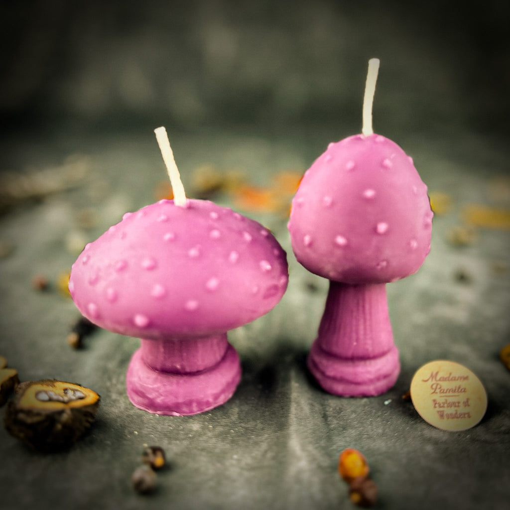 Beeswax Mystical Mushroom Spell Candle Duo