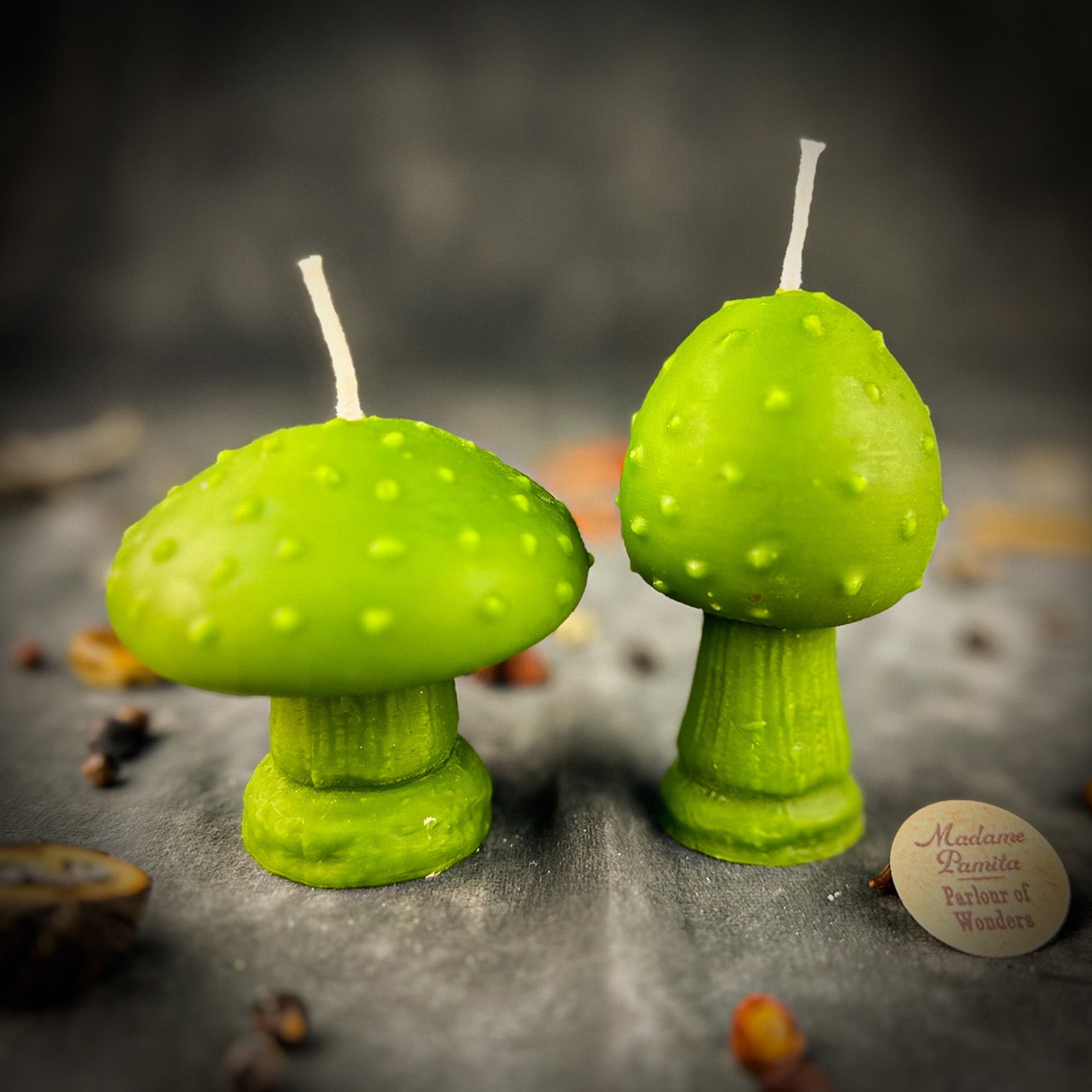 Beeswax Mystical Mushroom Spell Candle Duo