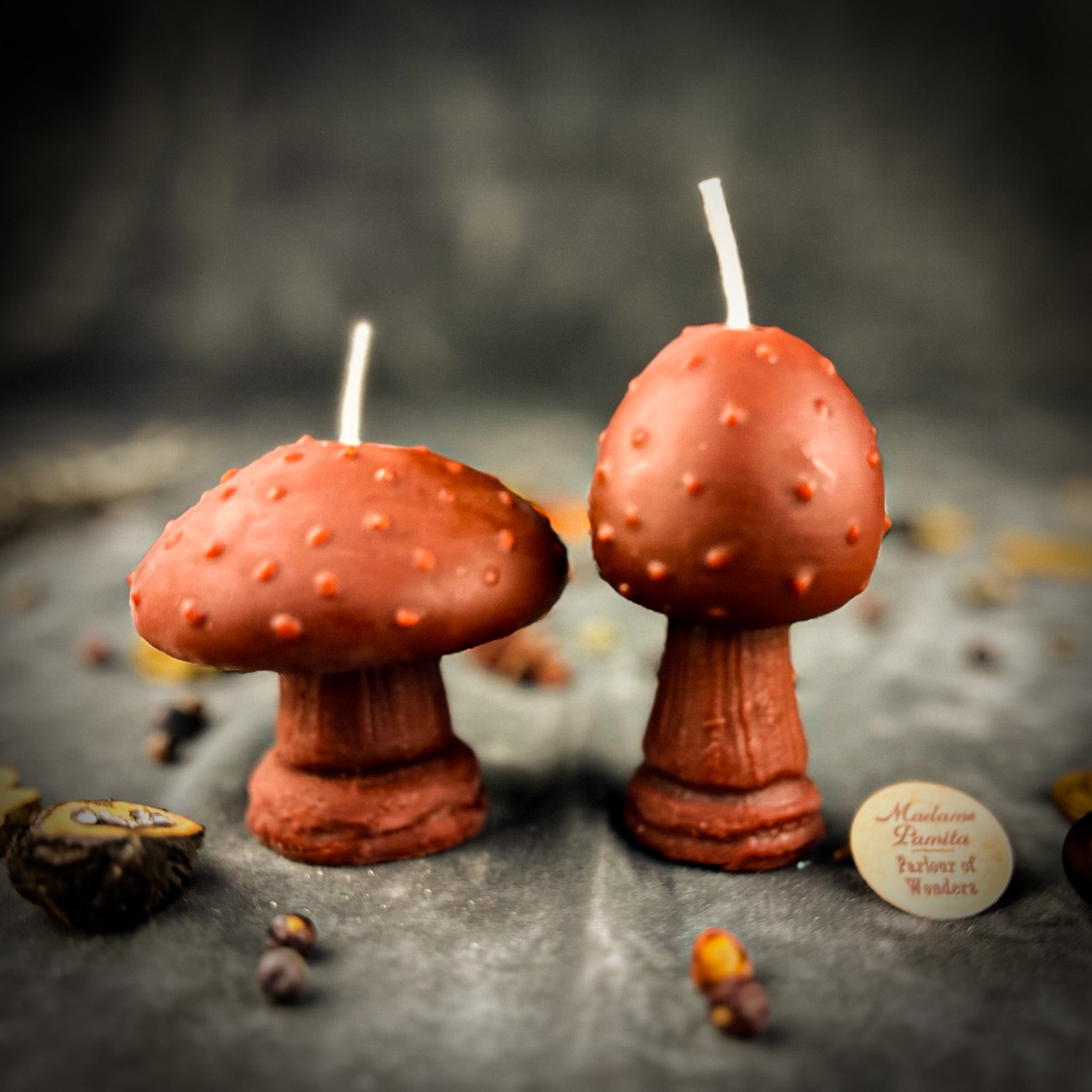 Beeswax Mystical Mushroom Spell Candle Duo