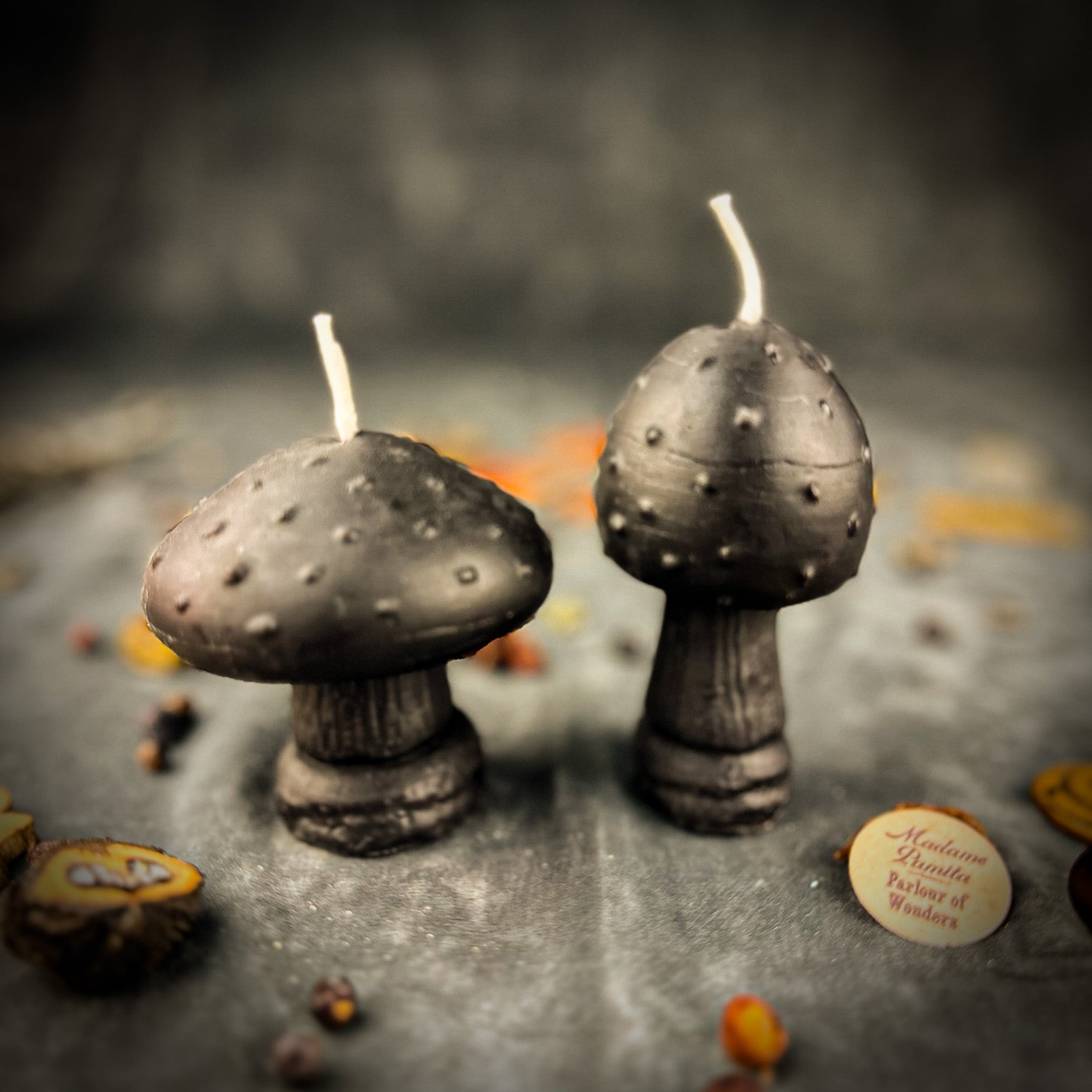 Beeswax Mystical Mushroom Spell Candle Duo