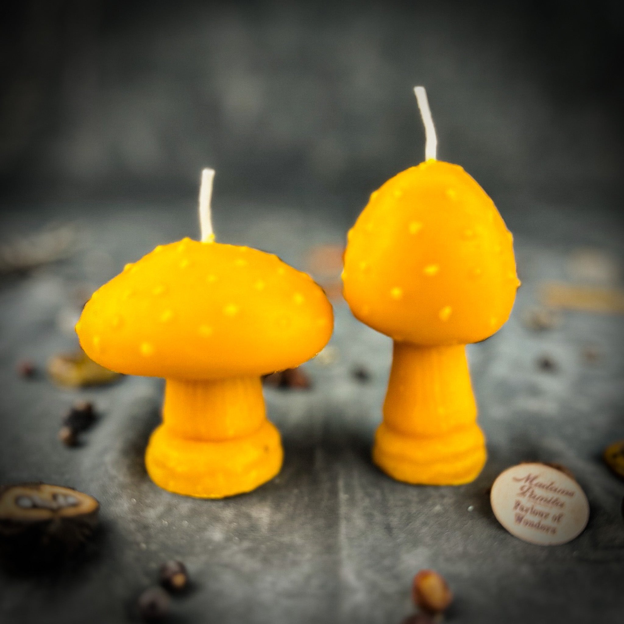Beeswax Mystical Mushroom Spell Candle Duo