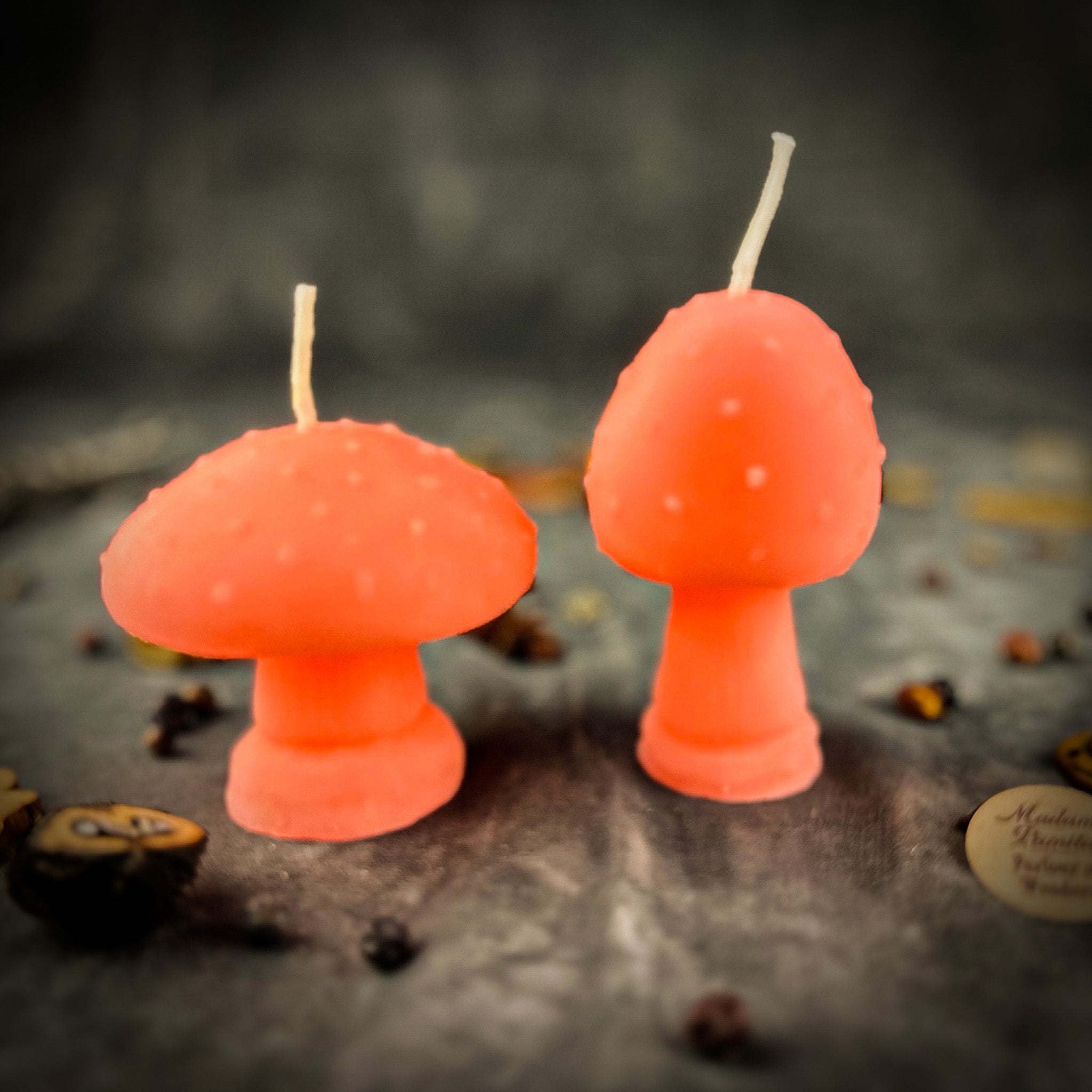 Beeswax Mystical Mushroom Spell Candle Duo
