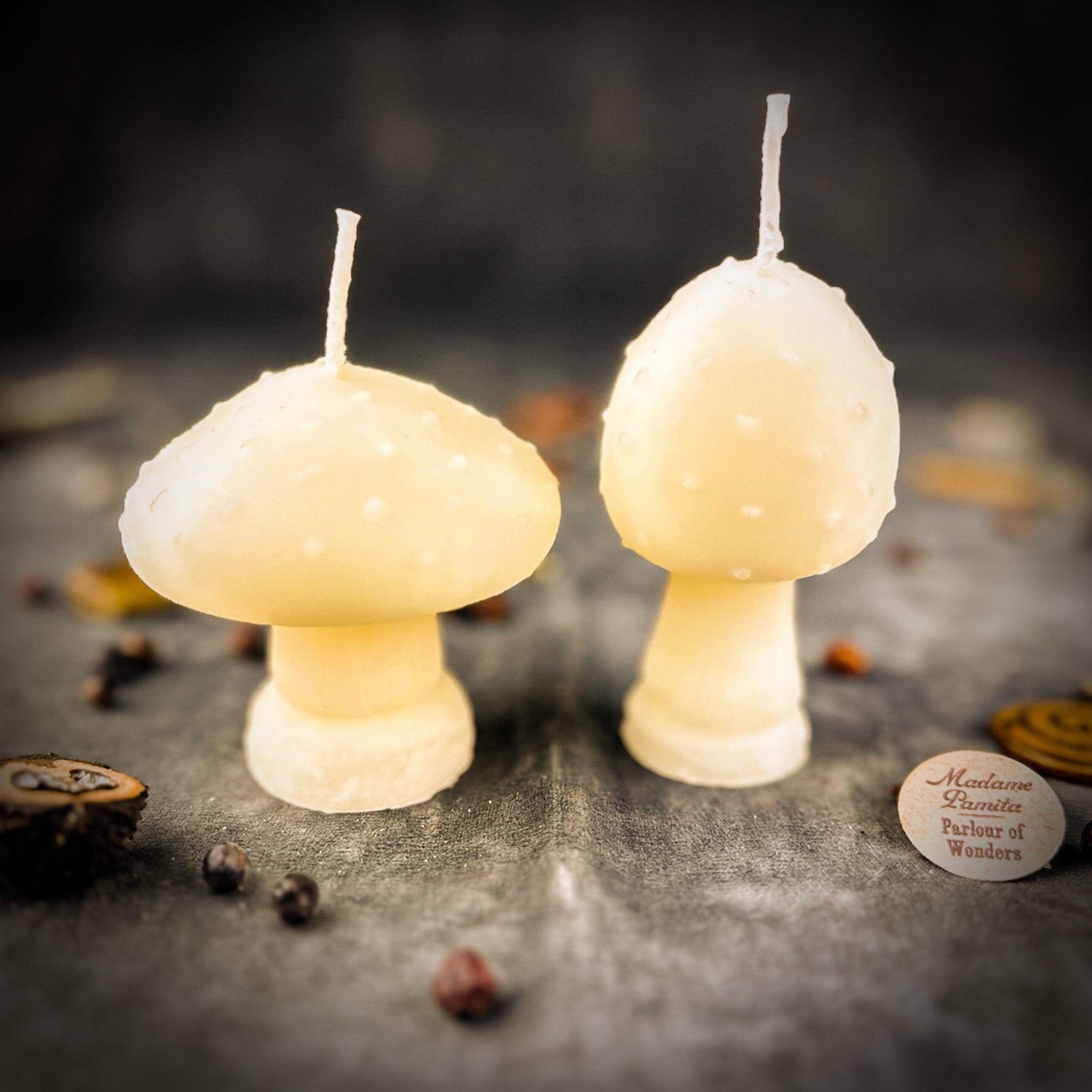 Beeswax Mystical Mushroom Spell Candle Duo