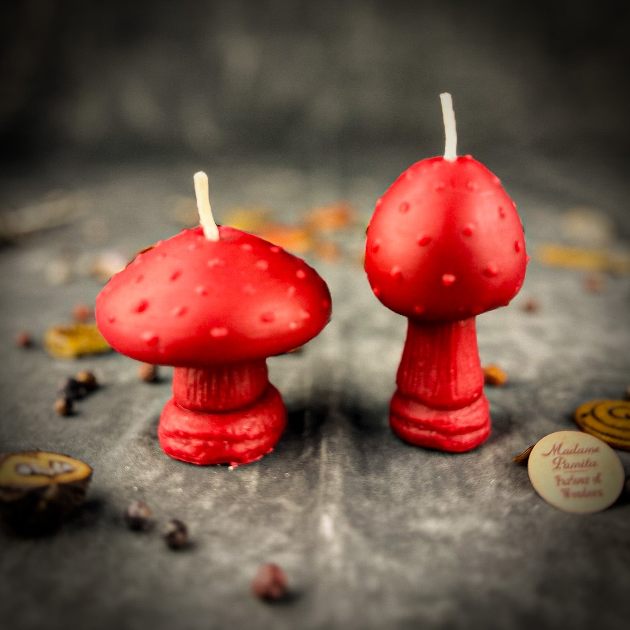 Mystical Mushroom Candle Spell Kit Duo - Forest Wisdom & Shadow Work Magic
