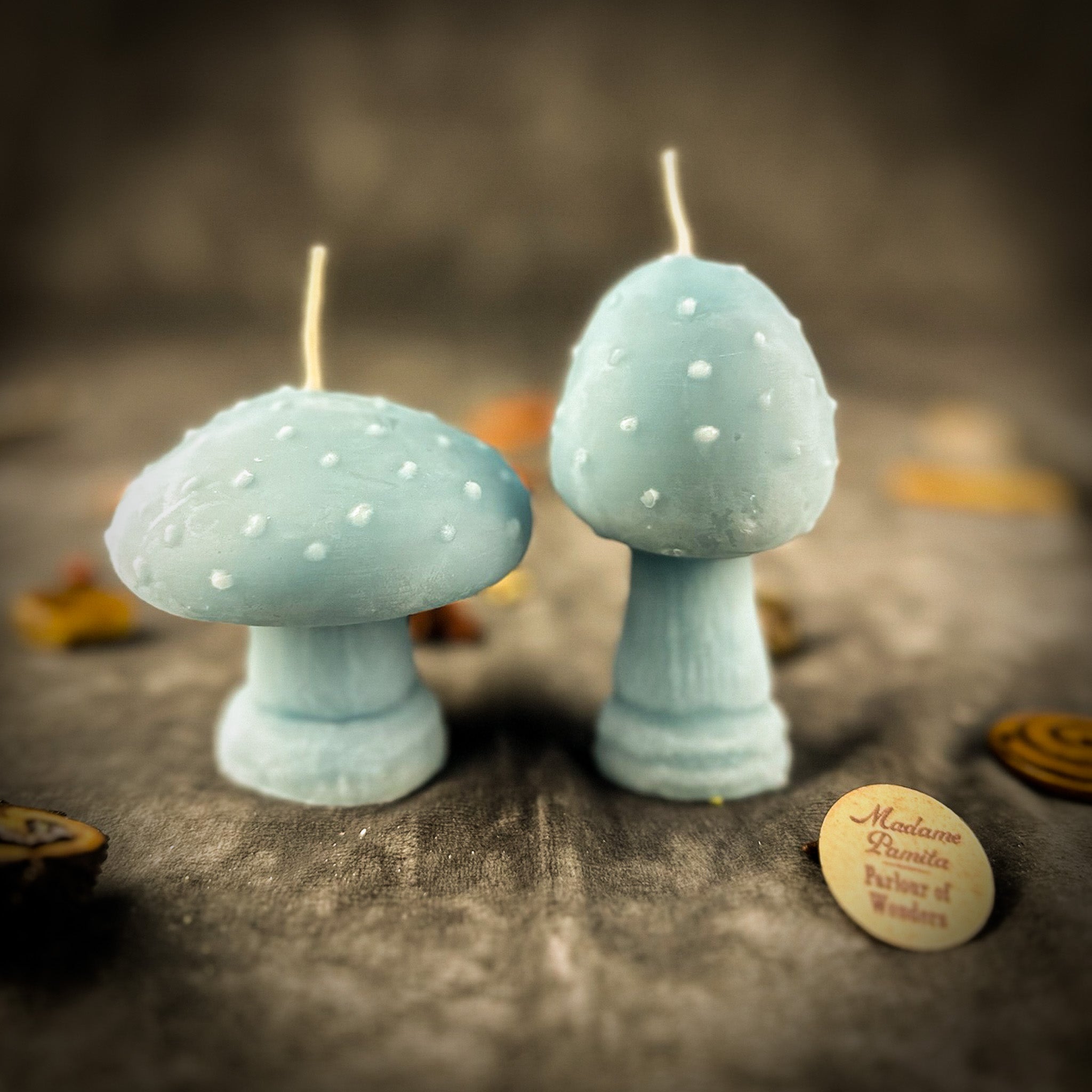 Mystical Mushroom Candle Spell Kit Duo - Forest Wisdom & Shadow Work Magic