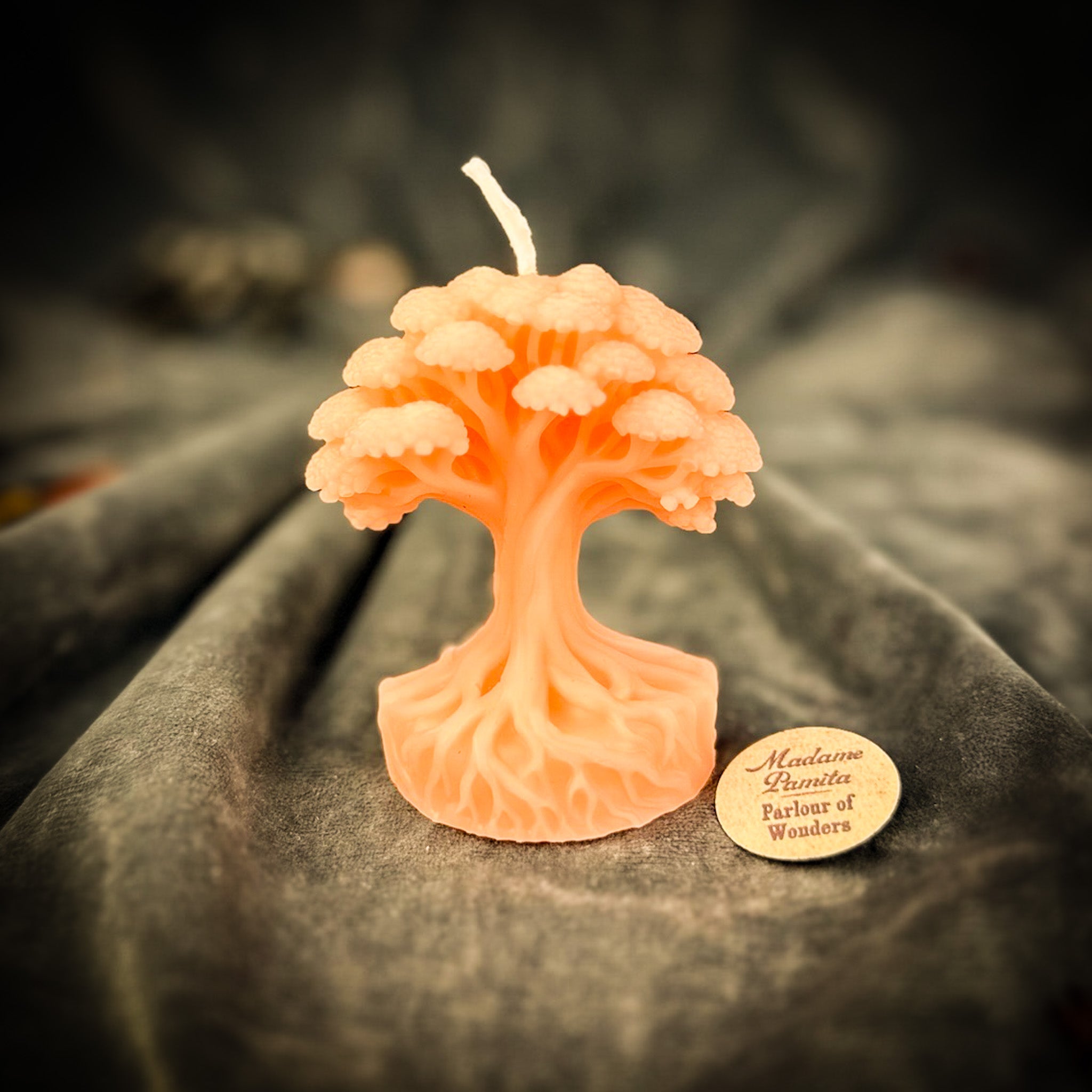 Shamanic World Tree Candle Spell Kit - Spiritual Journey & Connection
