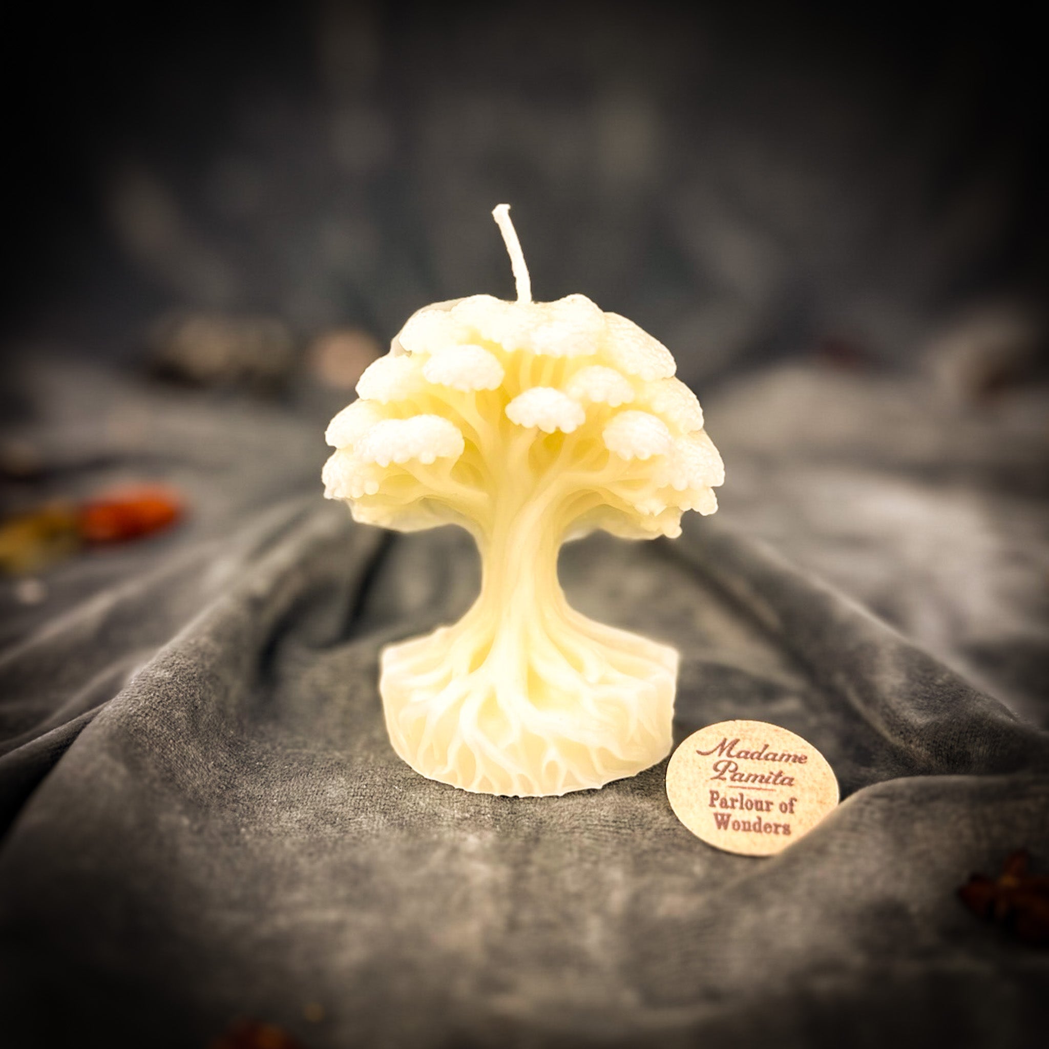 Shamanic World Tree Candle Spell Kit - Spiritual Journey & Connection