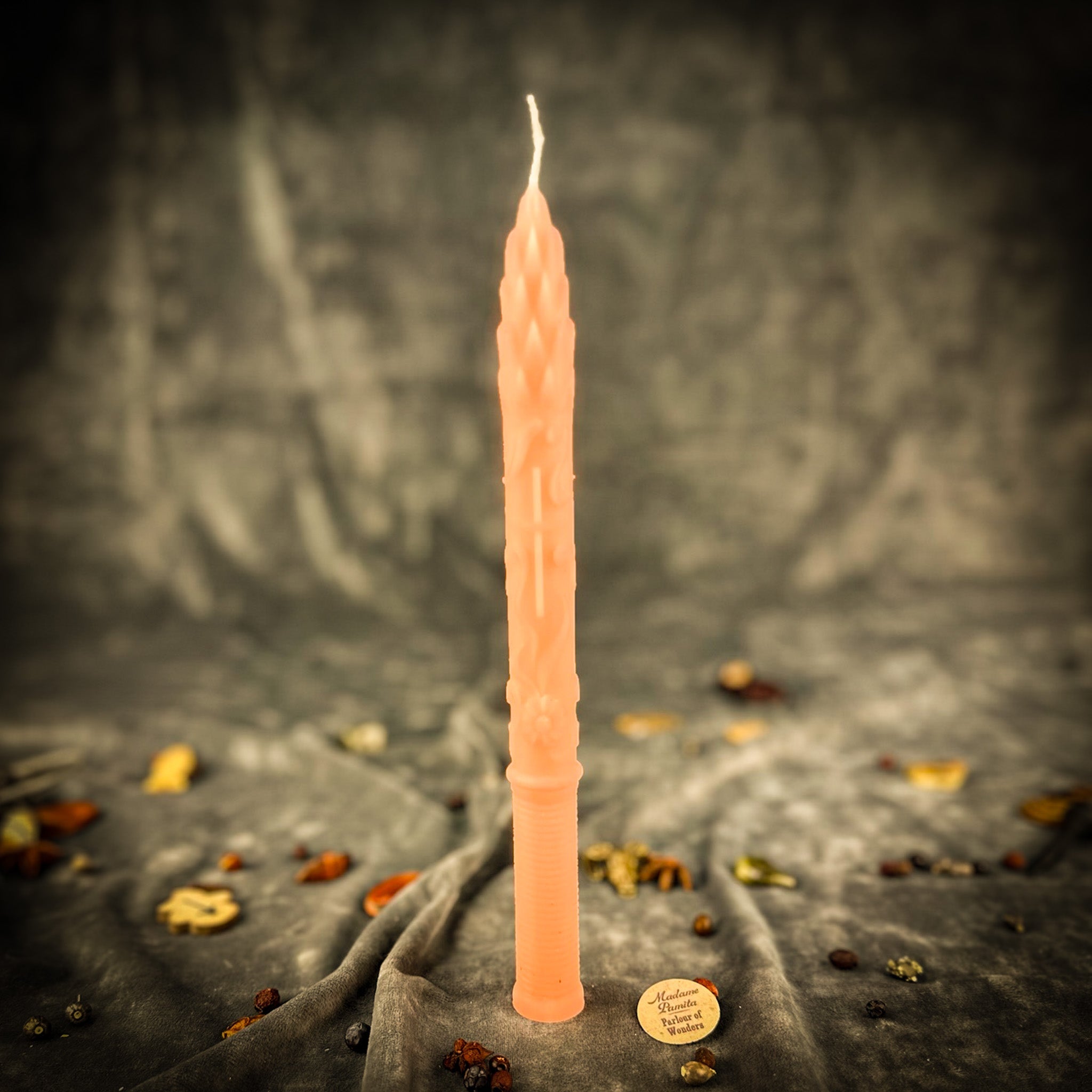 Stritennya Asparagus Candlemas Taper Candle Spell Kit - Renewal & Protection