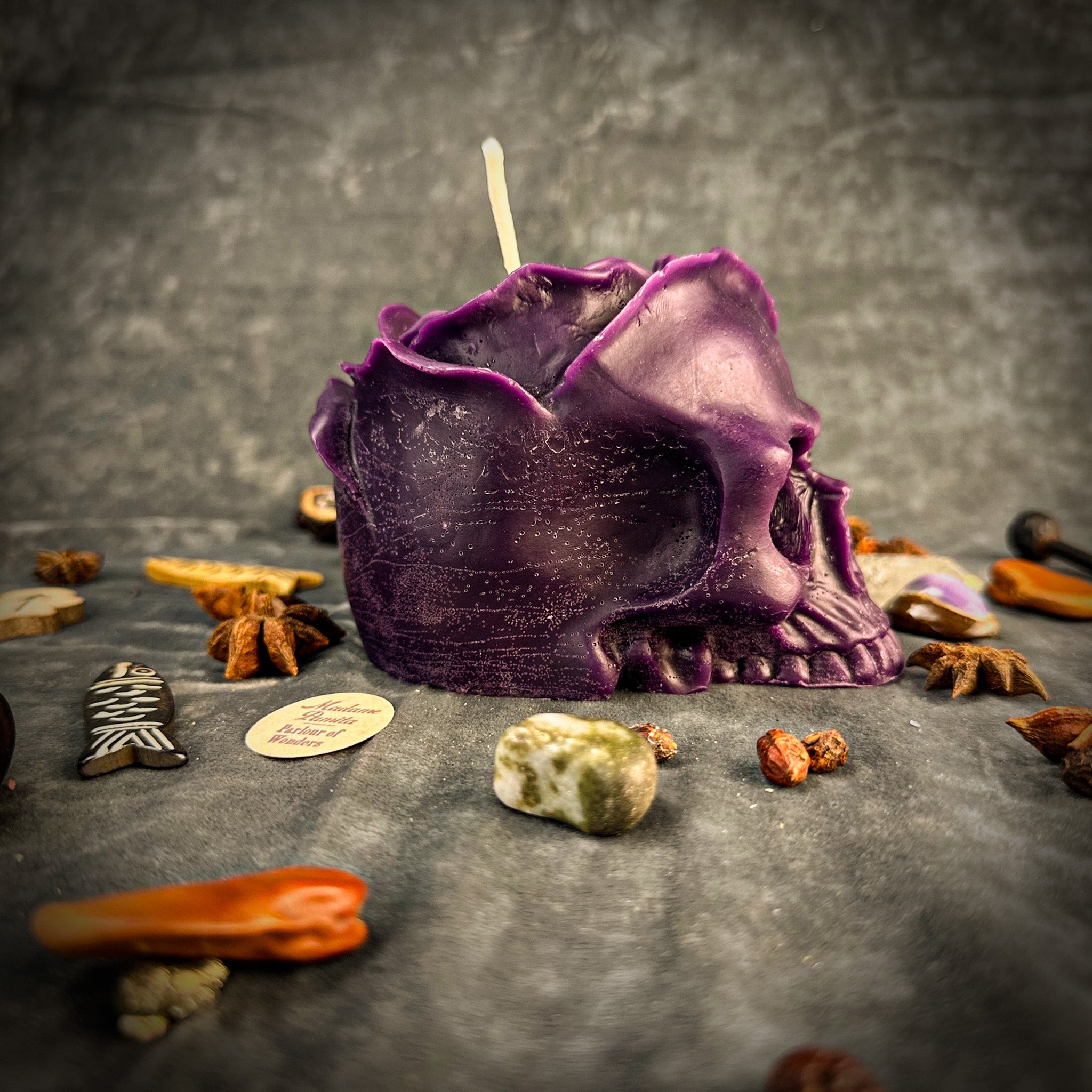 November Scorpio New Moon Skull of Power Spell