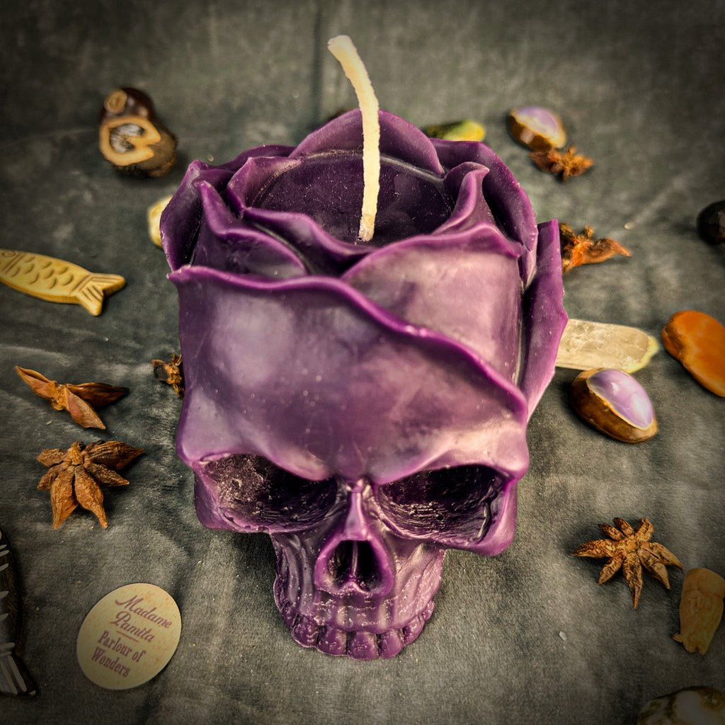 November Scorpio New Moon Skull of Power Spell