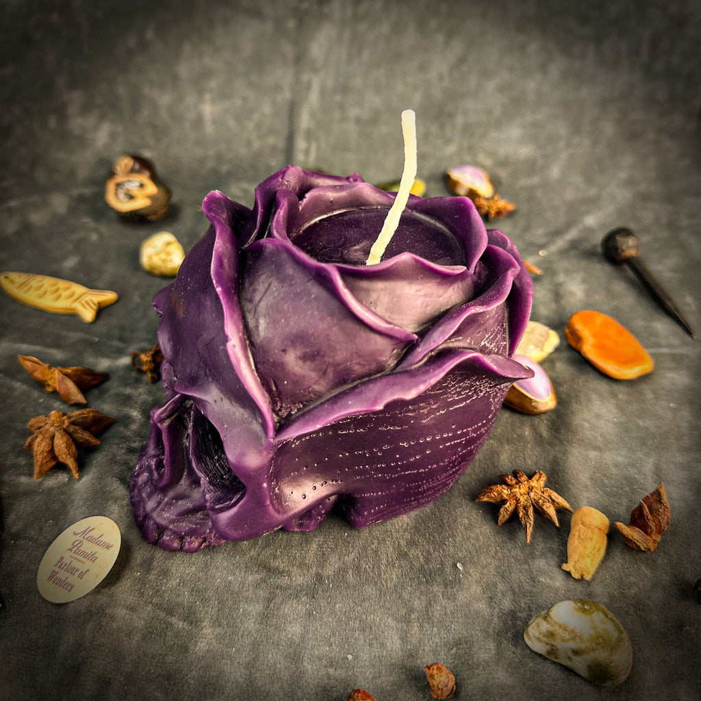 November Scorpio New Moon Skull of Power Spell